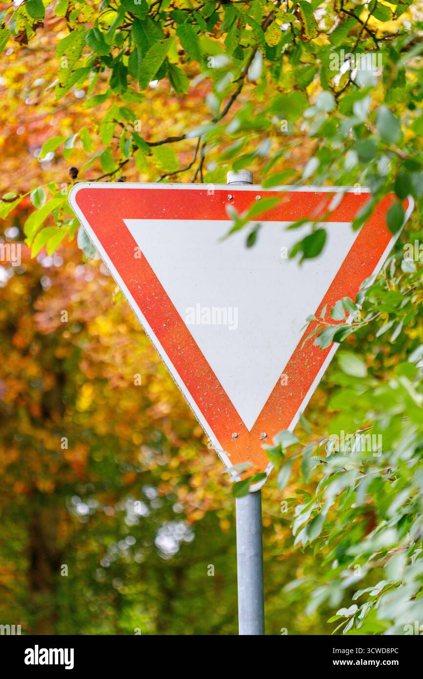 Un cartello stradale triangolare rivolto verso il basso con centro bianco e bordo rosso è parzialmente oscurato da un fogliame verde, con uno sfondo di colore autunnale. Foto Stock