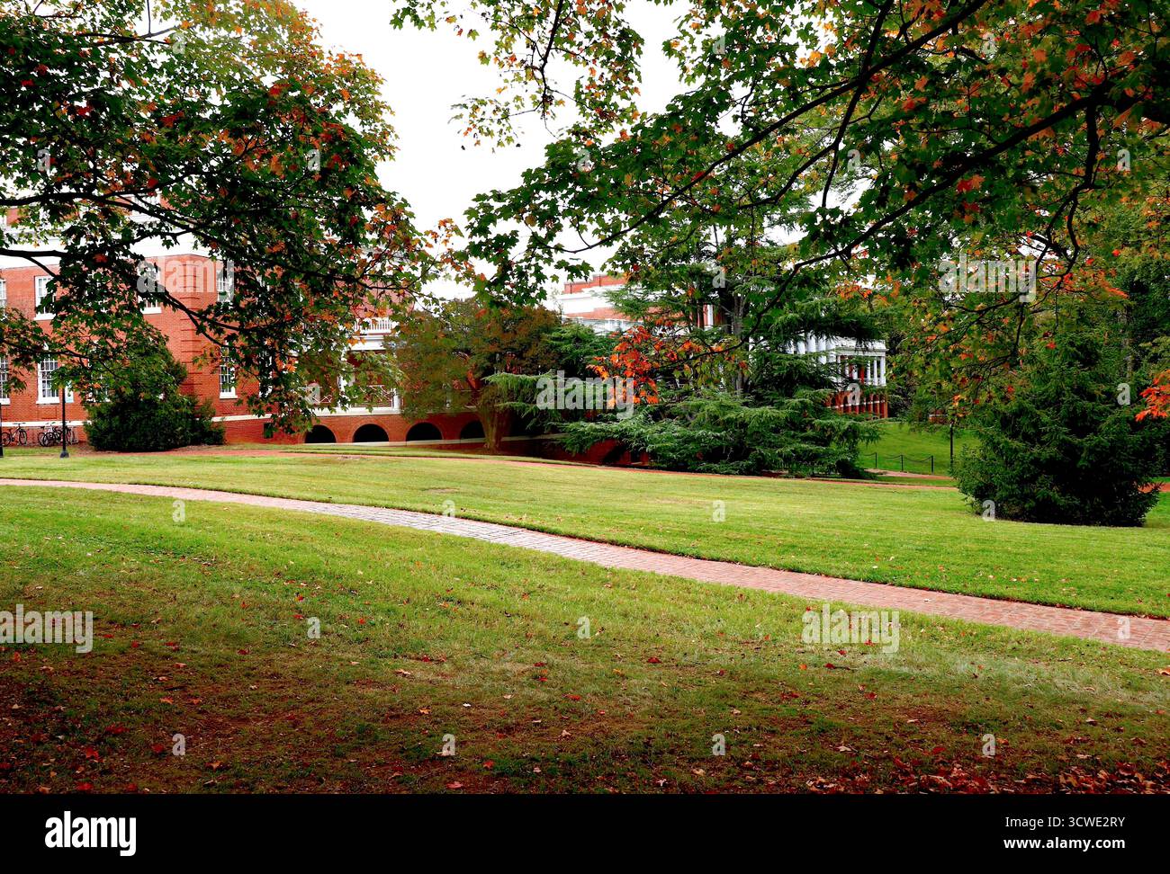 Early Foliage Color all'interno del campus Foto Stock