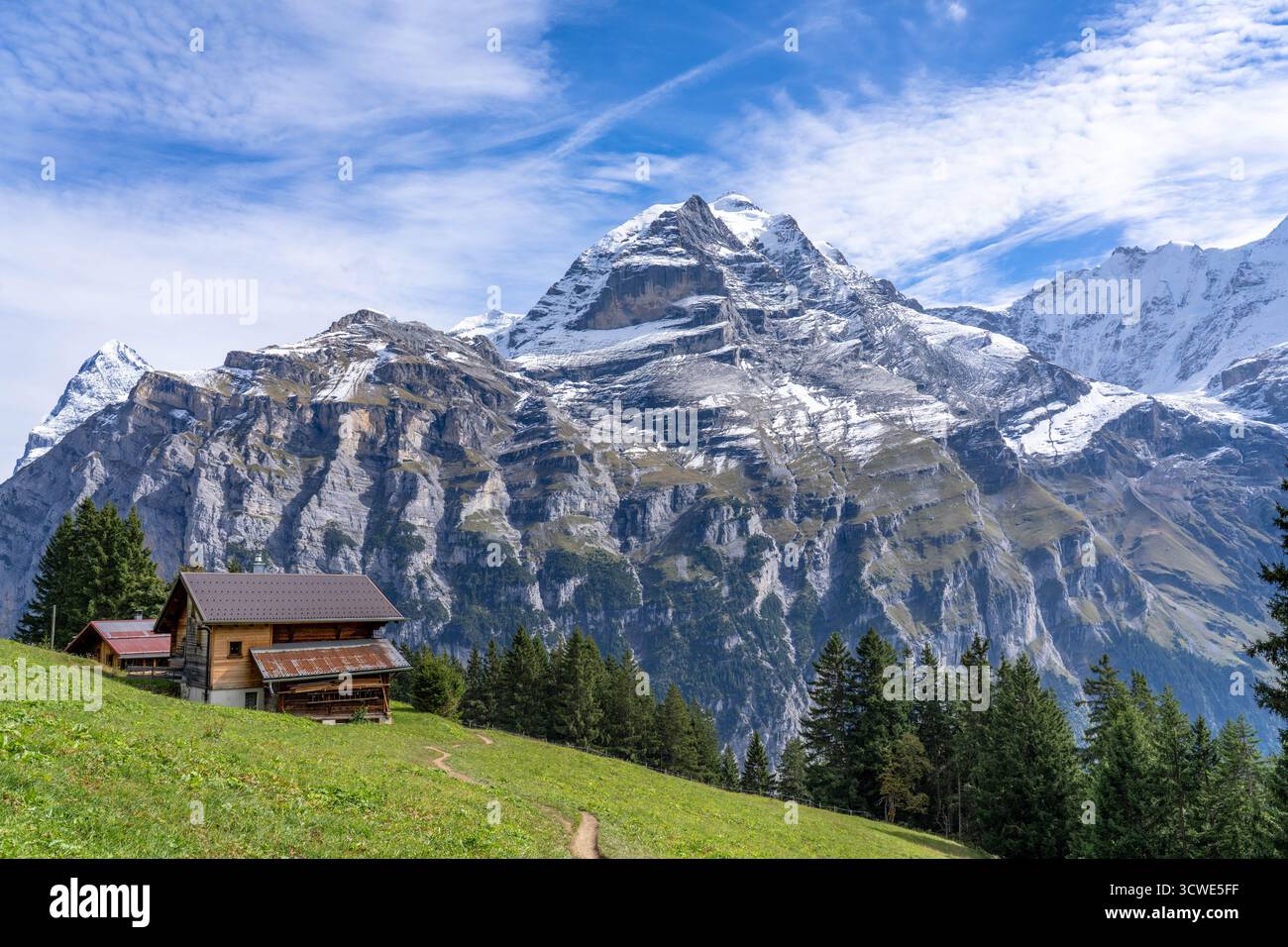Jungfrau Peak con la neve vista da Un prato con Una casa alpina a Gimmelwald in Svizzera Foto Stock