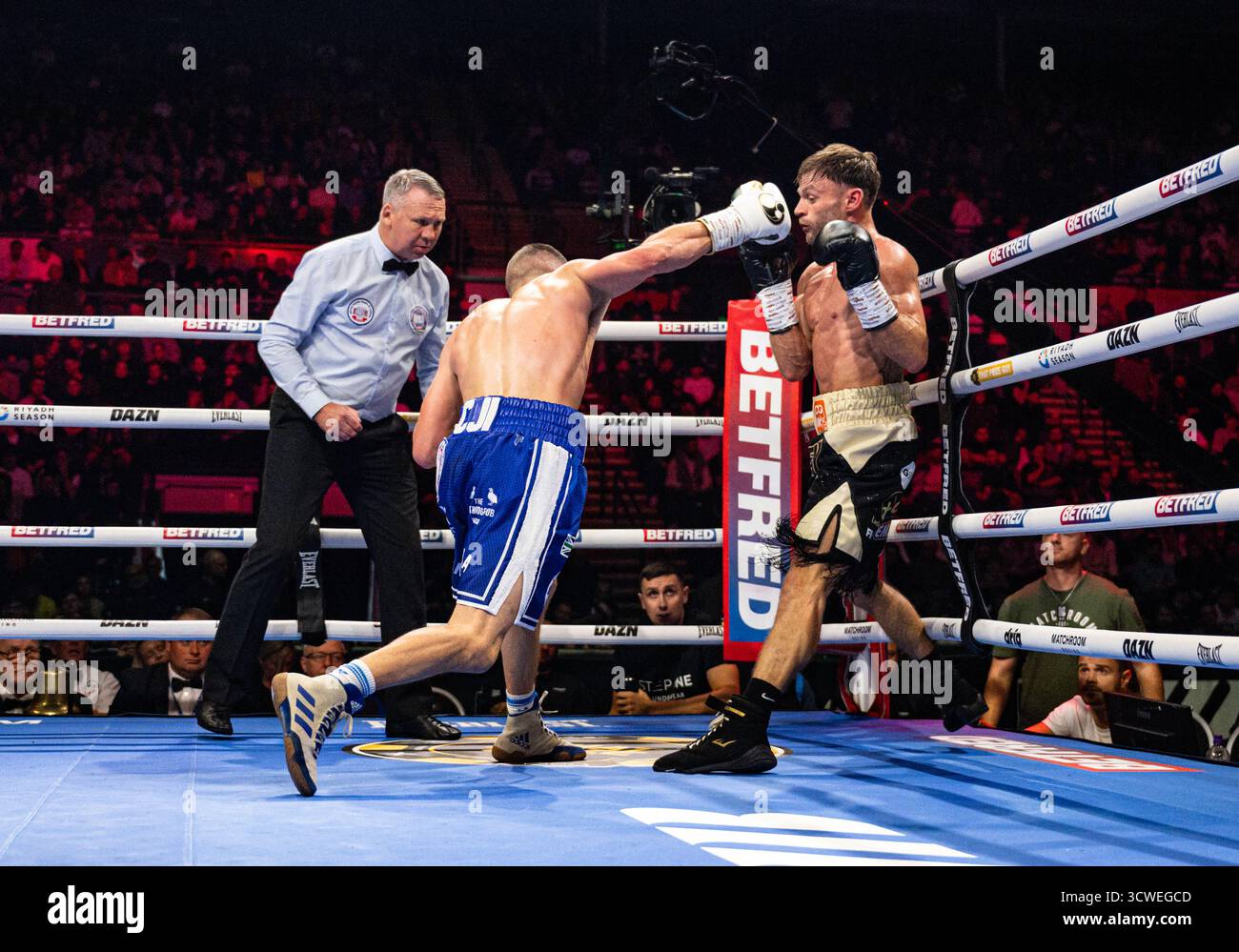 Utilita Arena, Sheffield, Regno Unito. 11 ottobre 2025. Matchroom Boxing, Dave Allen contro Arslanbek Makhmudov undercard; Reece Bellotti conquista un pugno nel WBA International Super Featherweight Contest contro Josh Padley Credit: Action Plus Sports/Alamy Live News Foto Stock