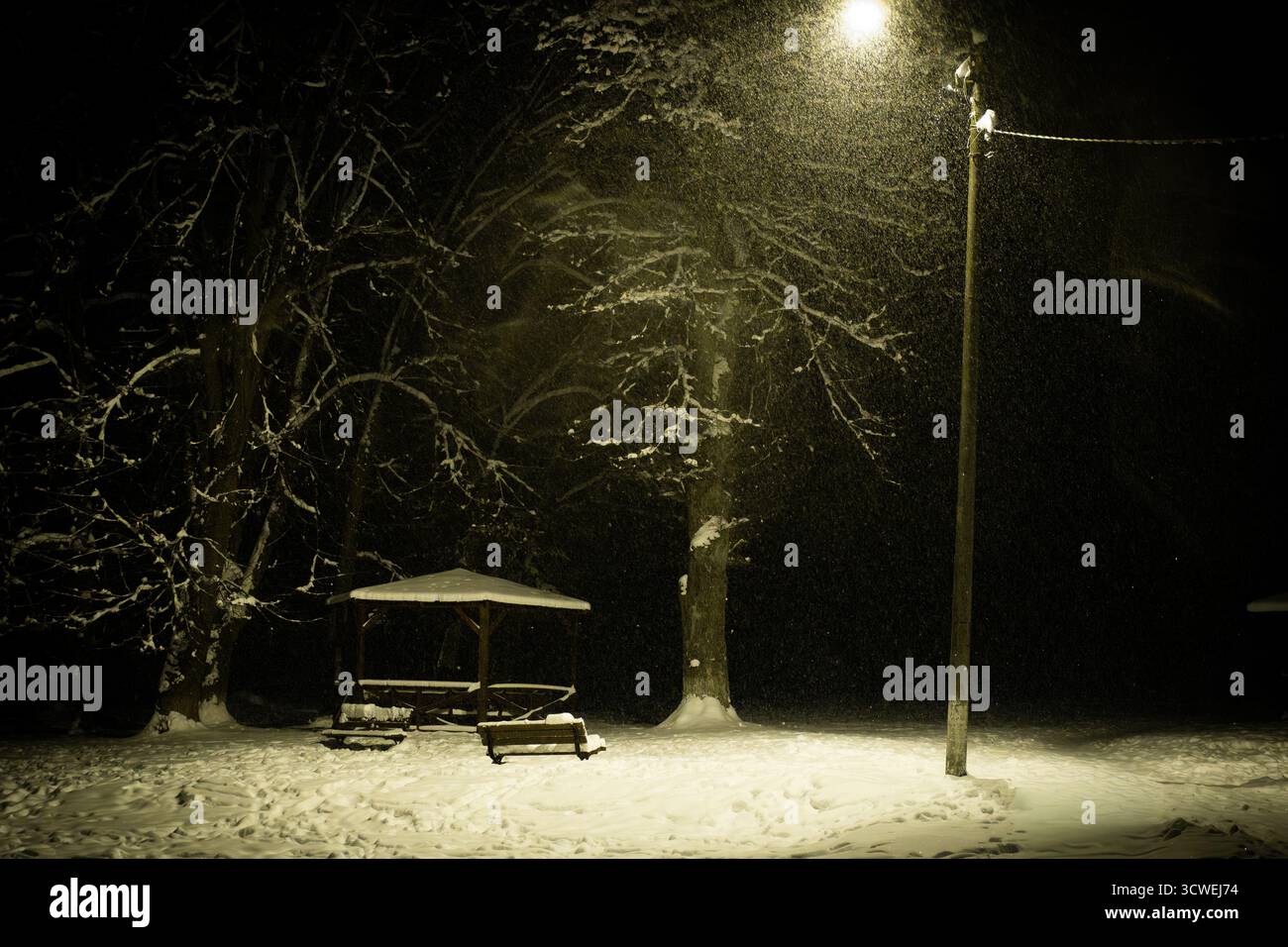 Tranquillo parco innevato illuminato da un lampione verde di notte. Gazebo, panchine e alberi innevati evocano un tranquillo umore invernale. Foto Stock