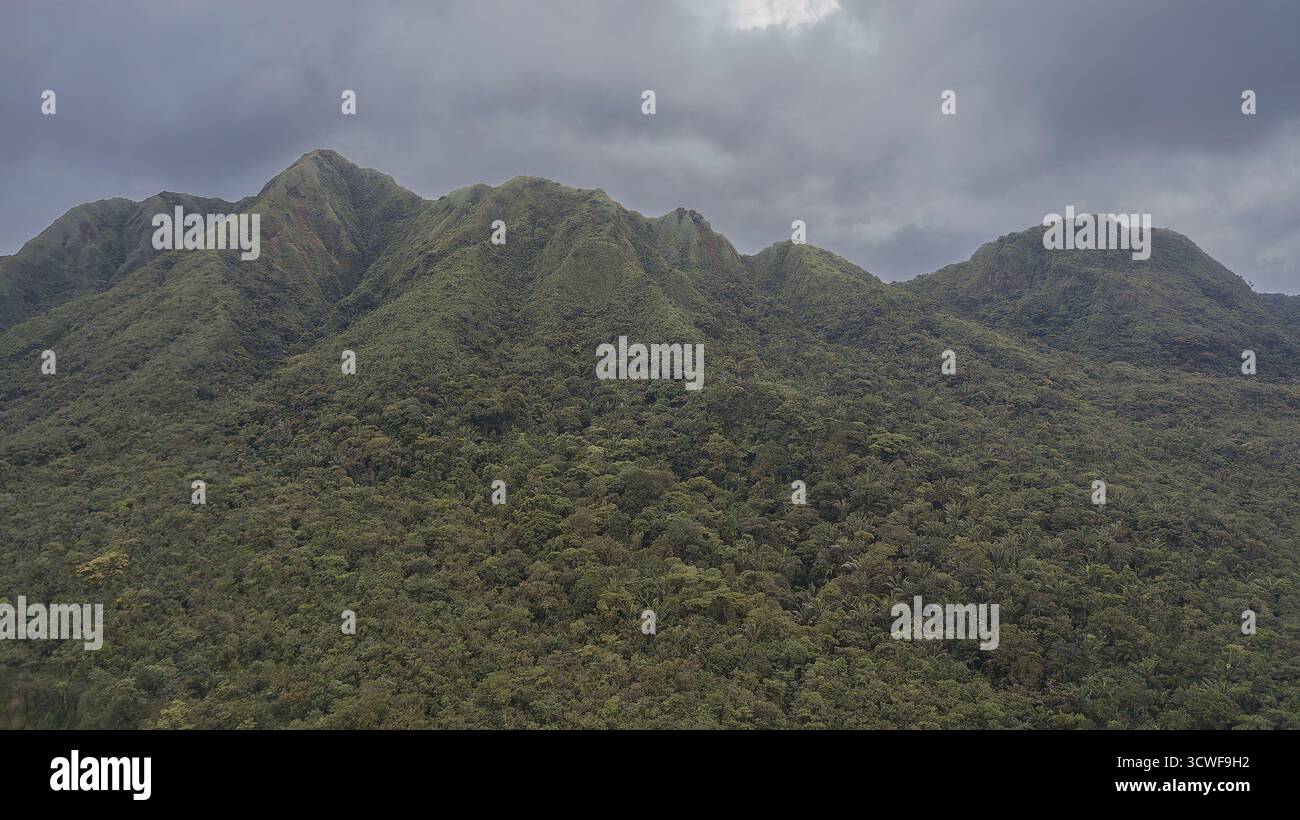 Vista aerea del Parco Nazionale Cerro Gaital nella regione montuosa centrale di Panama. Foto Stock