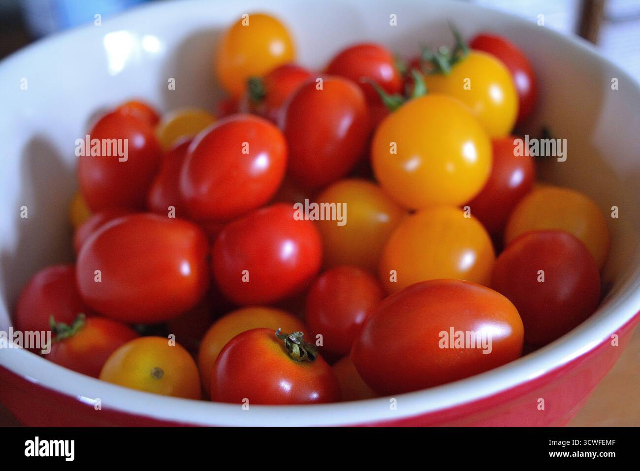 Ciotola di pomodori ciliegini rossi e gialli appena raccolti Foto Stock