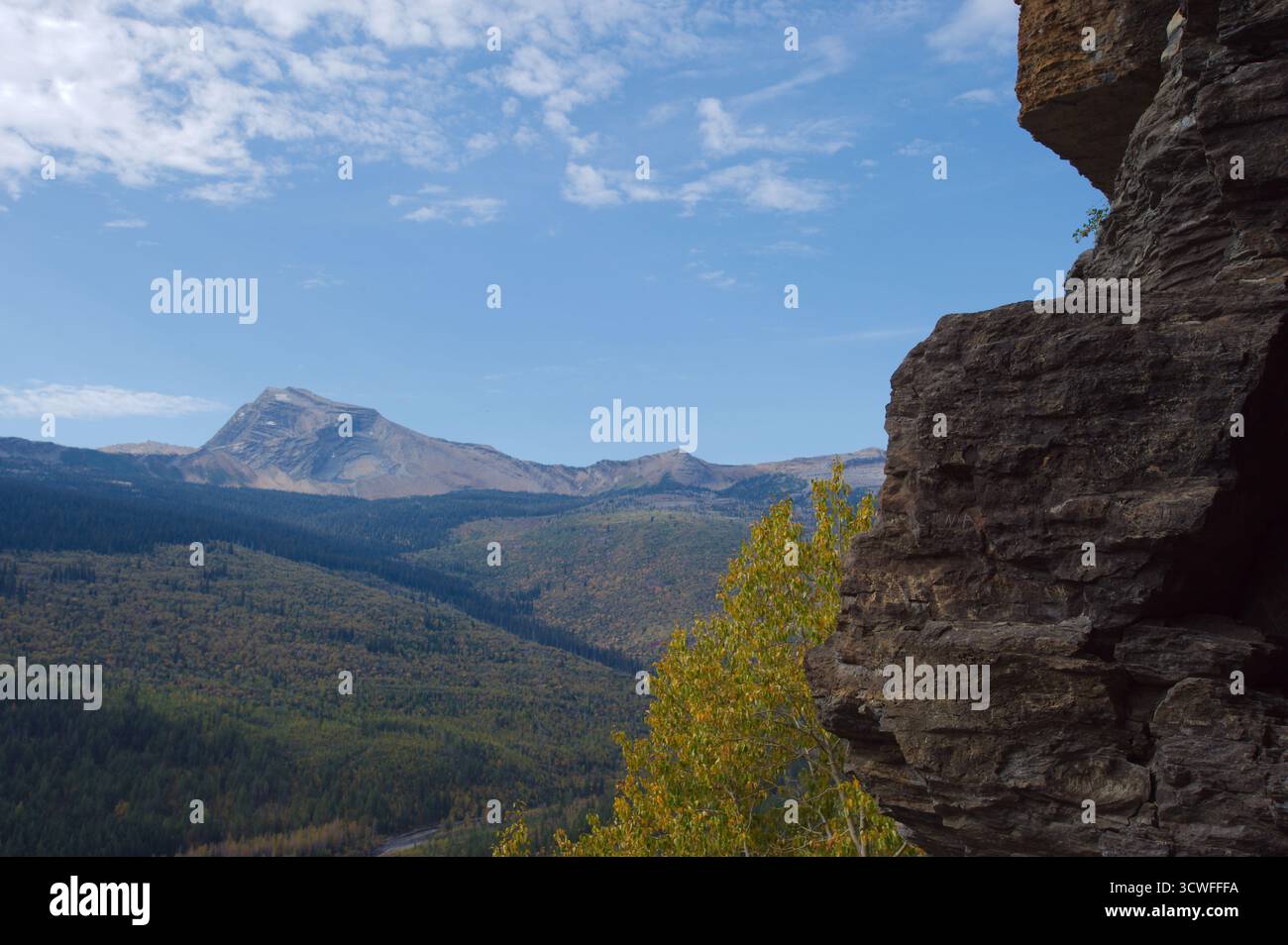 Maestoso scenario della Mountain Valley con fiume, foresta e cime innevate sotto il cielo azzurro. Glacier National Park Montana. Vallata ampia fiancheggiata da un rimorchio Foto Stock