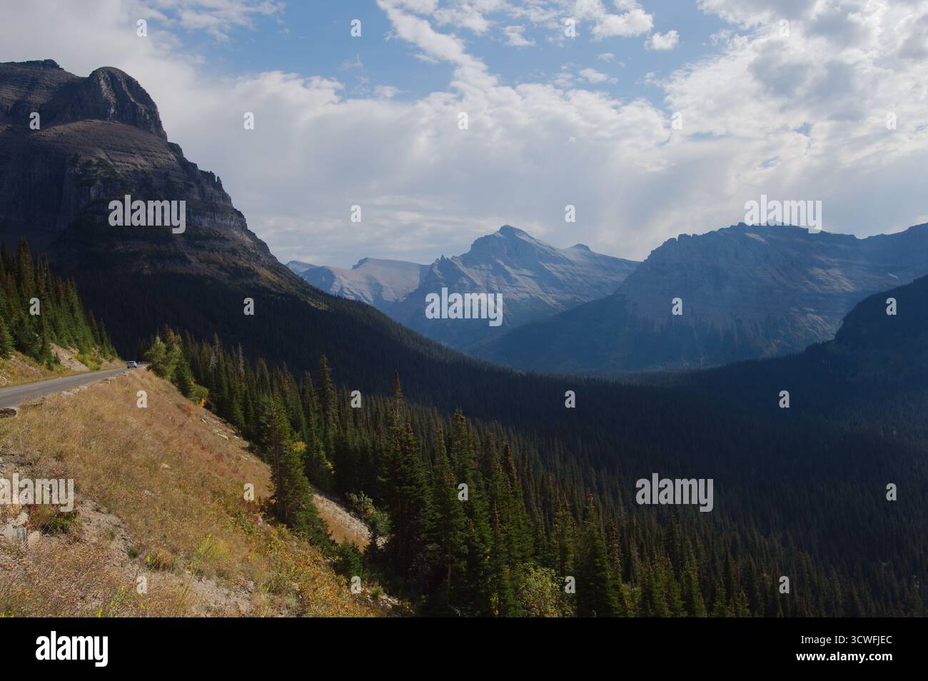 Maestoso scenario della Mountain Valley con fiume, foresta e cime innevate sotto il cielo azzurro. Glacier National Park Montana. Vallata ampia fiancheggiata da un rimorchio Foto Stock