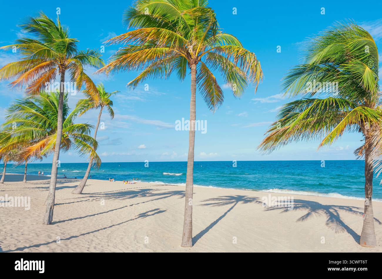 Fort Lauderdale Beach, Fort Lauderdale, Broward County, Florida, Stati Uniti Foto Stock