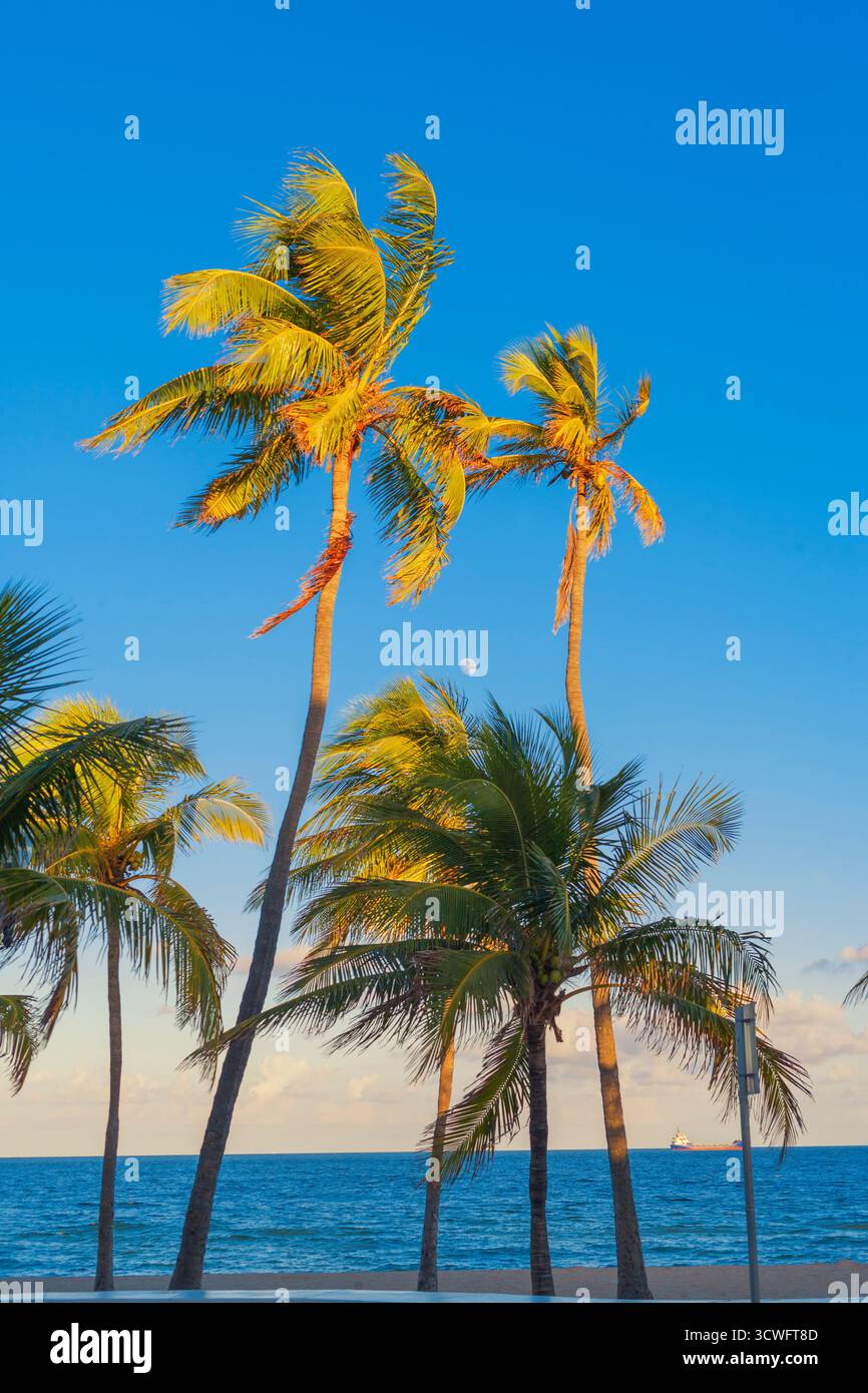 Fort Lauderdale Beach, Fort Lauderdale, Broward County, Florida, Stati Uniti Foto Stock