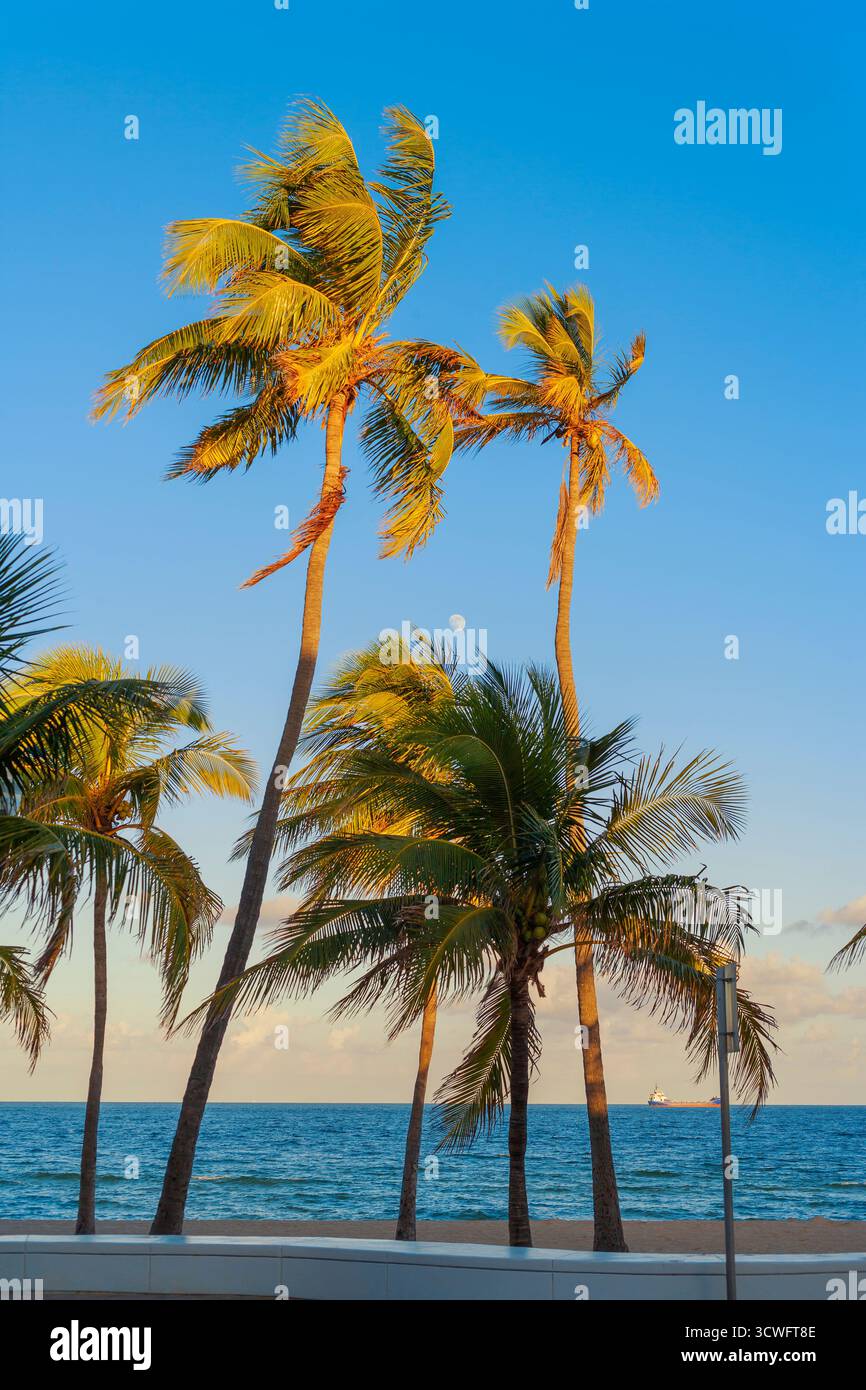 Fort Lauderdale Beach, Fort Lauderdale, Broward County, Florida, Stati Uniti Foto Stock