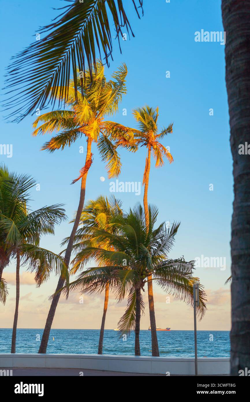 Fort Lauderdale Beach, Fort Lauderdale, Broward County, Florida, Stati Uniti Foto Stock