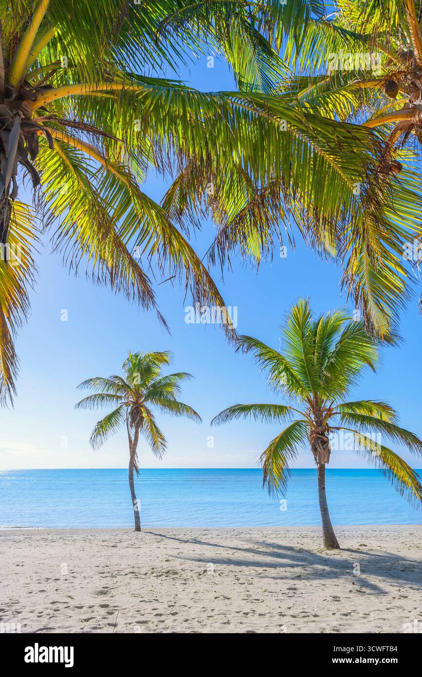 Smathers Beach, Key West, Florida, USA Foto Stock