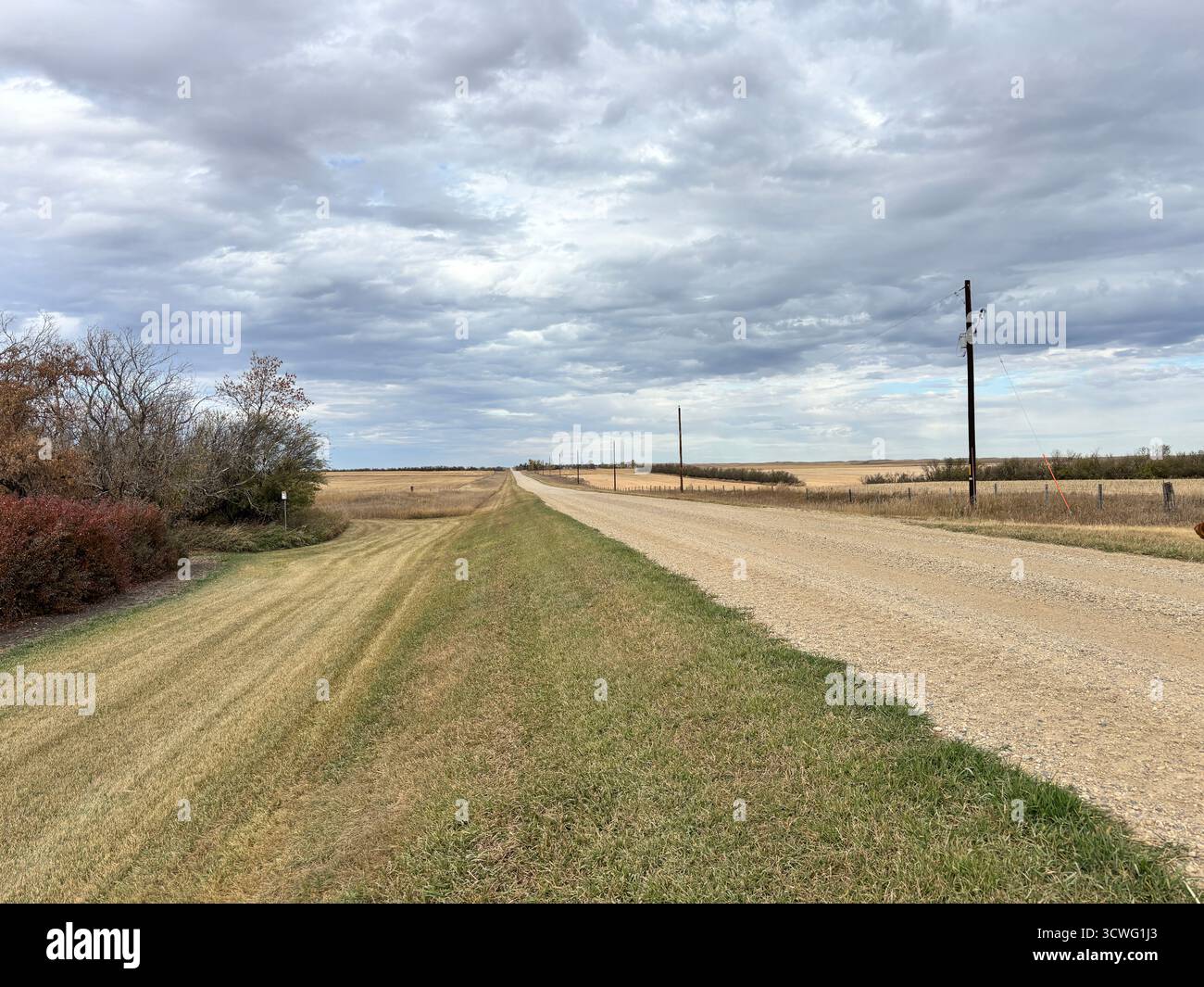 Tranquilla strada di ghiaia che si estende attraverso un paesaggio rurale di prateria, fiancheggiata da prati e cespugli sotto un vasto cielo nuvoloso. Foto Stock