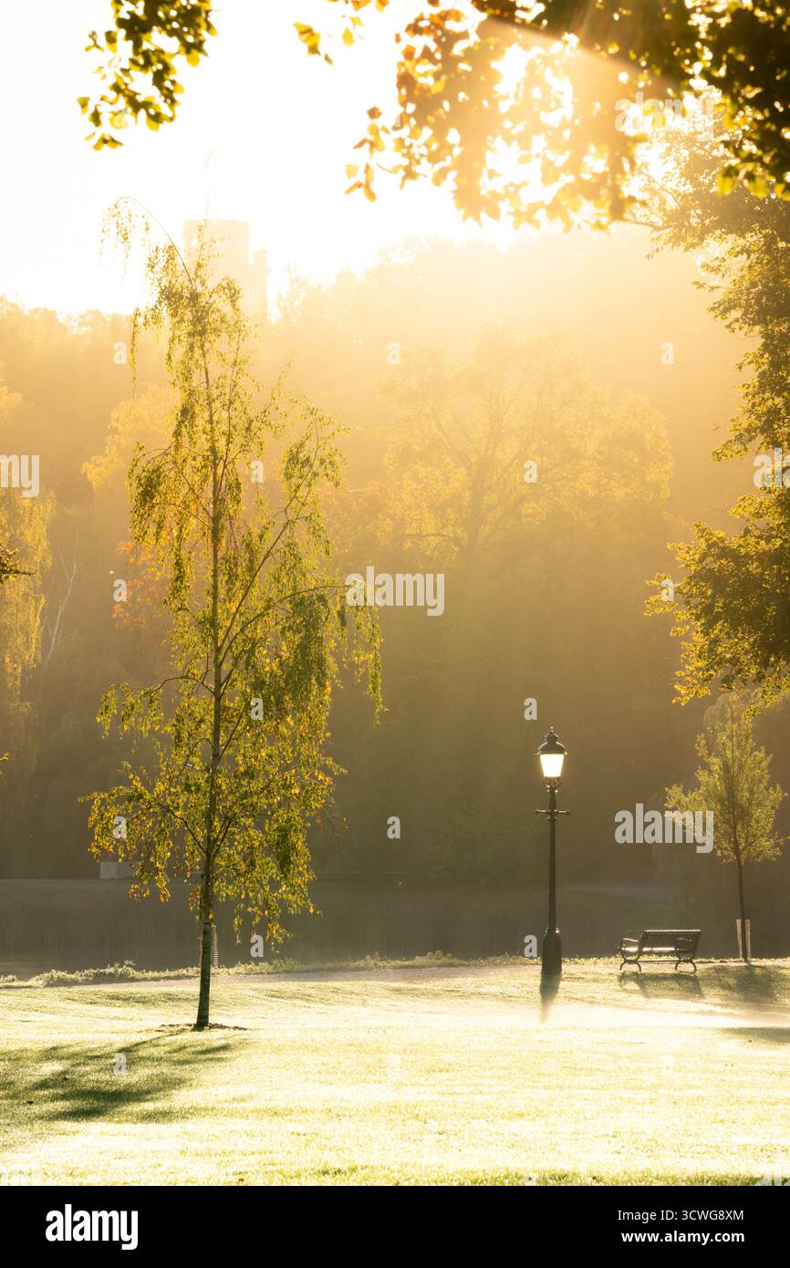 Parco tranquillo che fa il bagno nella luce soffusa e calda del mattino con nebbia autunnale che si protrae sull'erba, con una snella betulla, una panchina del parco e un lampione Foto Stock