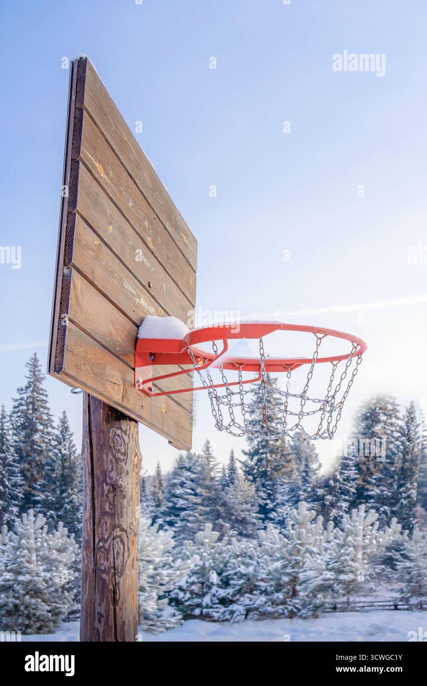 Un canestro da basket si trova in una radura innevata, adornata di gelo. Lo sfondo presenta una splendida foresta di conifere, che crea un ambiente tranquillo Foto Stock