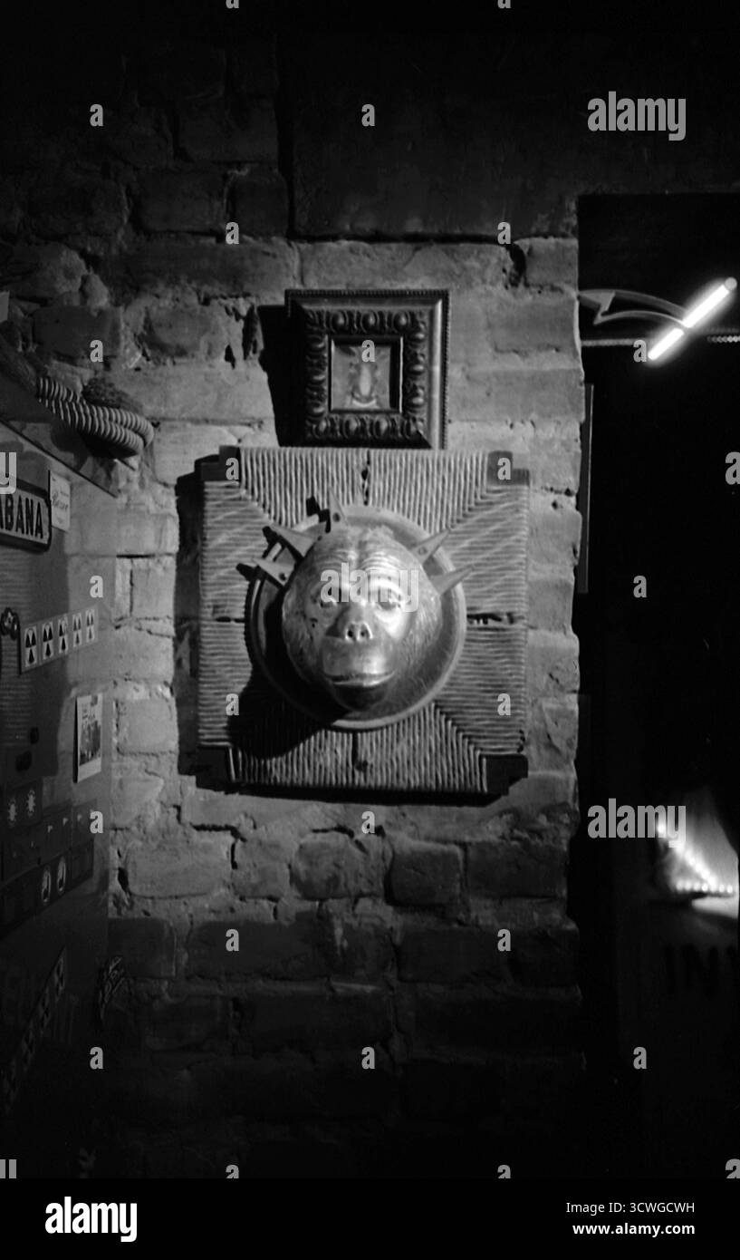 Fotografia analogica in bianco e nero di una scultura di testa di scimmia montata su un muro, che enfatizza la sua forma insolita, la trama e le ombre nette. Foto Stock