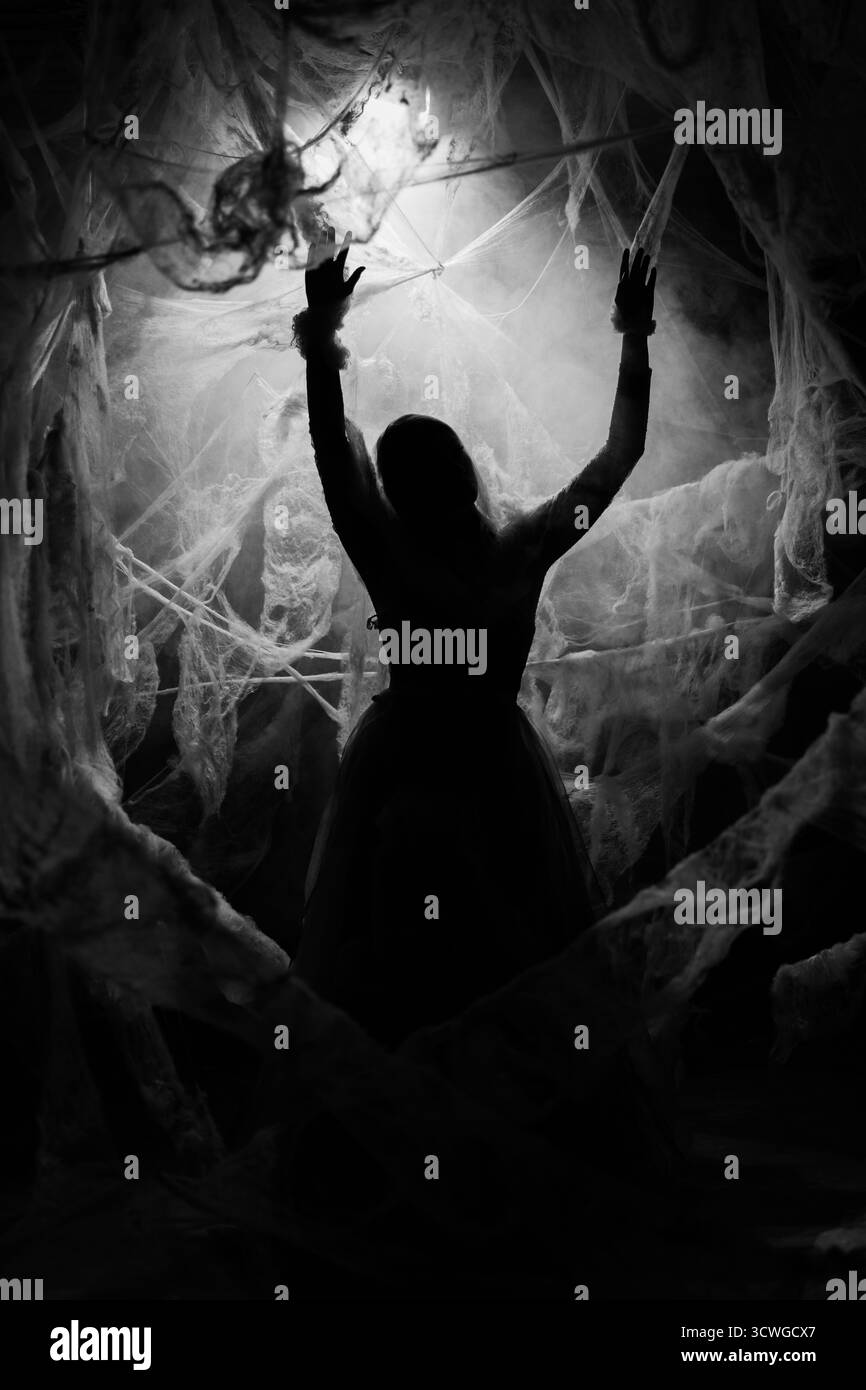 Silhouette di Halloween Vampire Woman in cobweb. Strega che indossa ragnatela. Ragazza con trucco e costume di Halloween. copia spazio Foto Stock