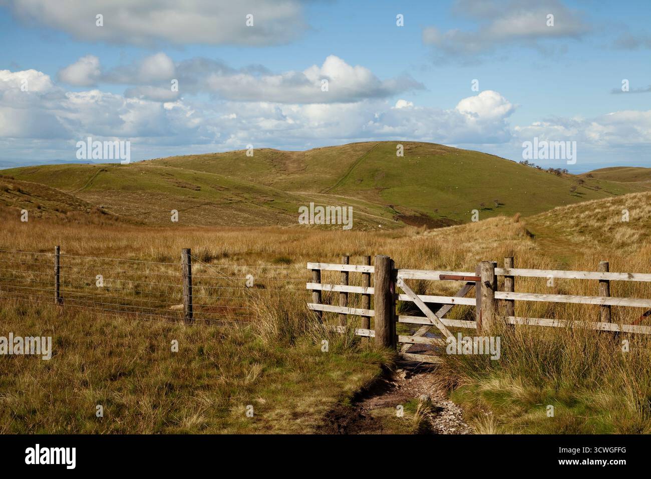La caduta di Fellbarrow vicino a Loweswater nel Lake District inglese in autunno. Foto Stock