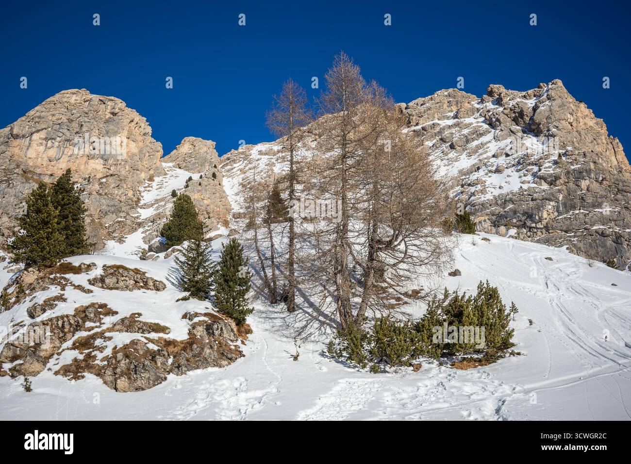 Paesaggio invernale con Montagne Rocciose nel nord-est dell'Italia. Natura innevata nelle Dolomiti. Foto Stock