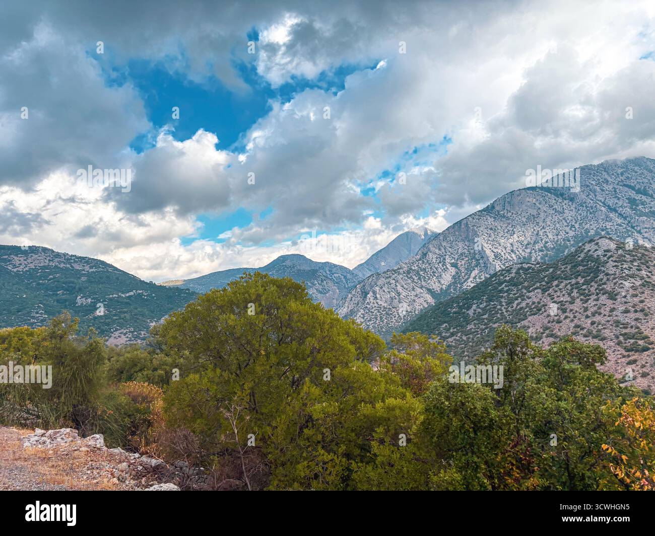 Suggestivo paesaggio montano con cielo nuvoloso e foresta verde in primo piano Foto Stock