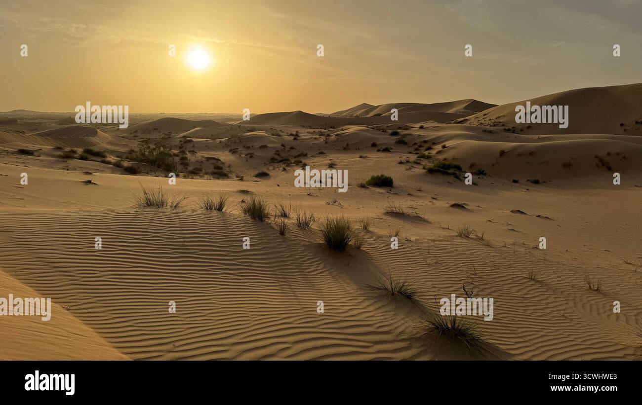 Deserto al Khatim, deserto di Abu Dhabi, tramonto serale, paesaggio vuoto, dune arabe, Golden Hour, safari nel deserto, dune di sabbia, deserto tranquillo, luce del deserto Foto Stock