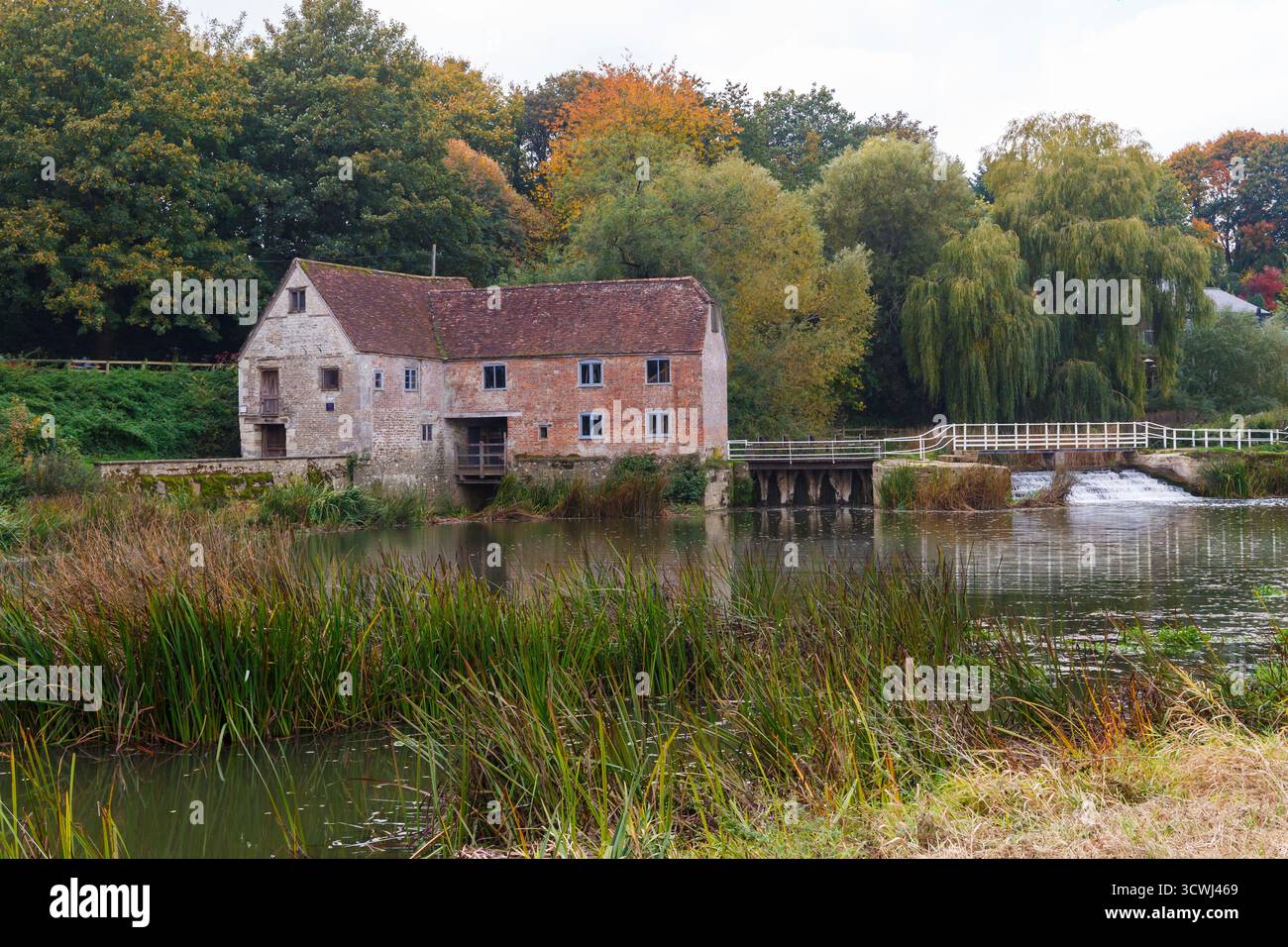 Sturminster Newton, Dorset, Regno Unito. 12 ottobre 2025. Meteo nel Regno Unito: Colori autunnali a Sturminster Newton Mill, Dorset. Sturminster Newton Mill è uno dei pochi mulini rimasti sul fiume Stour, parte di una serie di antichi mulini costruiti sul fiume. Si tratta di un mulino ad acqua completamente funzionante che produce farina, venduto nei negozi del Museo e del Mulino ed è un meraviglioso pezzo di archeologia industriale. Crediti: Carolyn Jenkins/Alamy Live News Foto Stock
