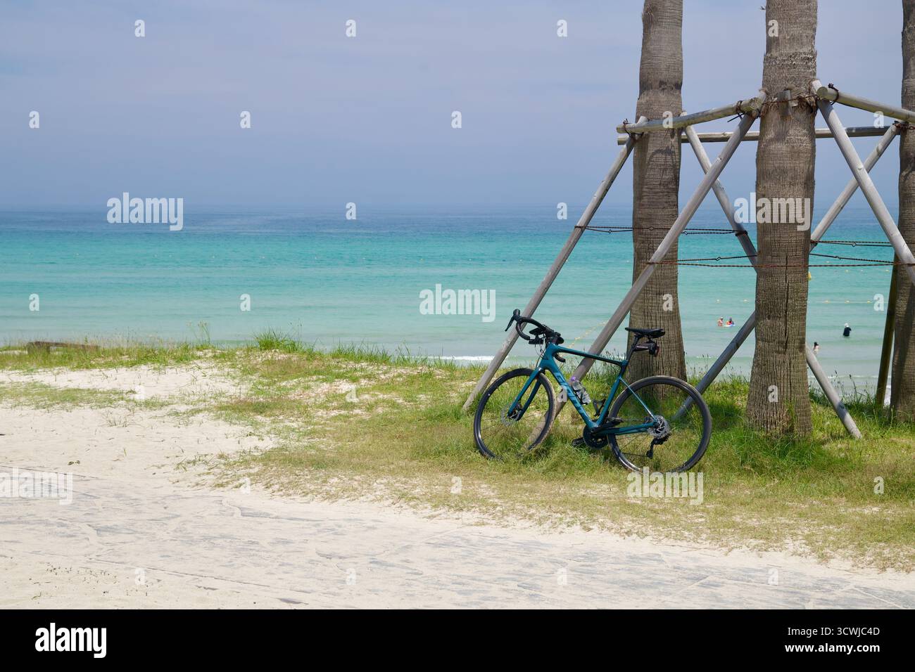 Una bicicletta da strada si appoggia su tronchi di palma sospesi accanto alla sabbia bianca di Hamdeok Seoubong Beach, con acqua color smeraldo e bagnanti che si estendono fino al di Foto Stock