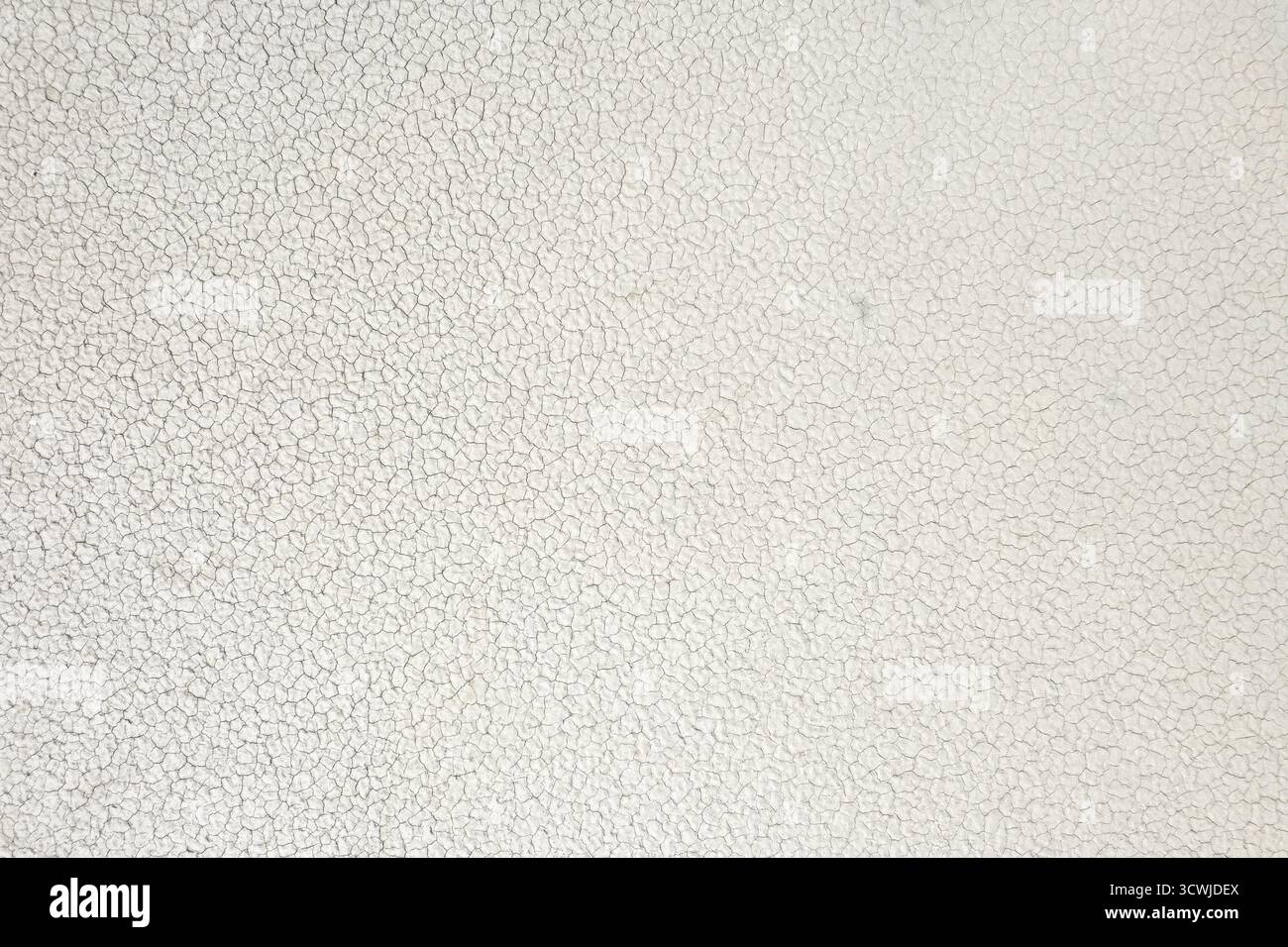 La superficie è caratterizzata da una rete di crepe sottili che mostrano un colore chiaro e motivi complessi. Questa texture naturale aggiunge profondità e interesse visivo a qualsiasi Foto Stock