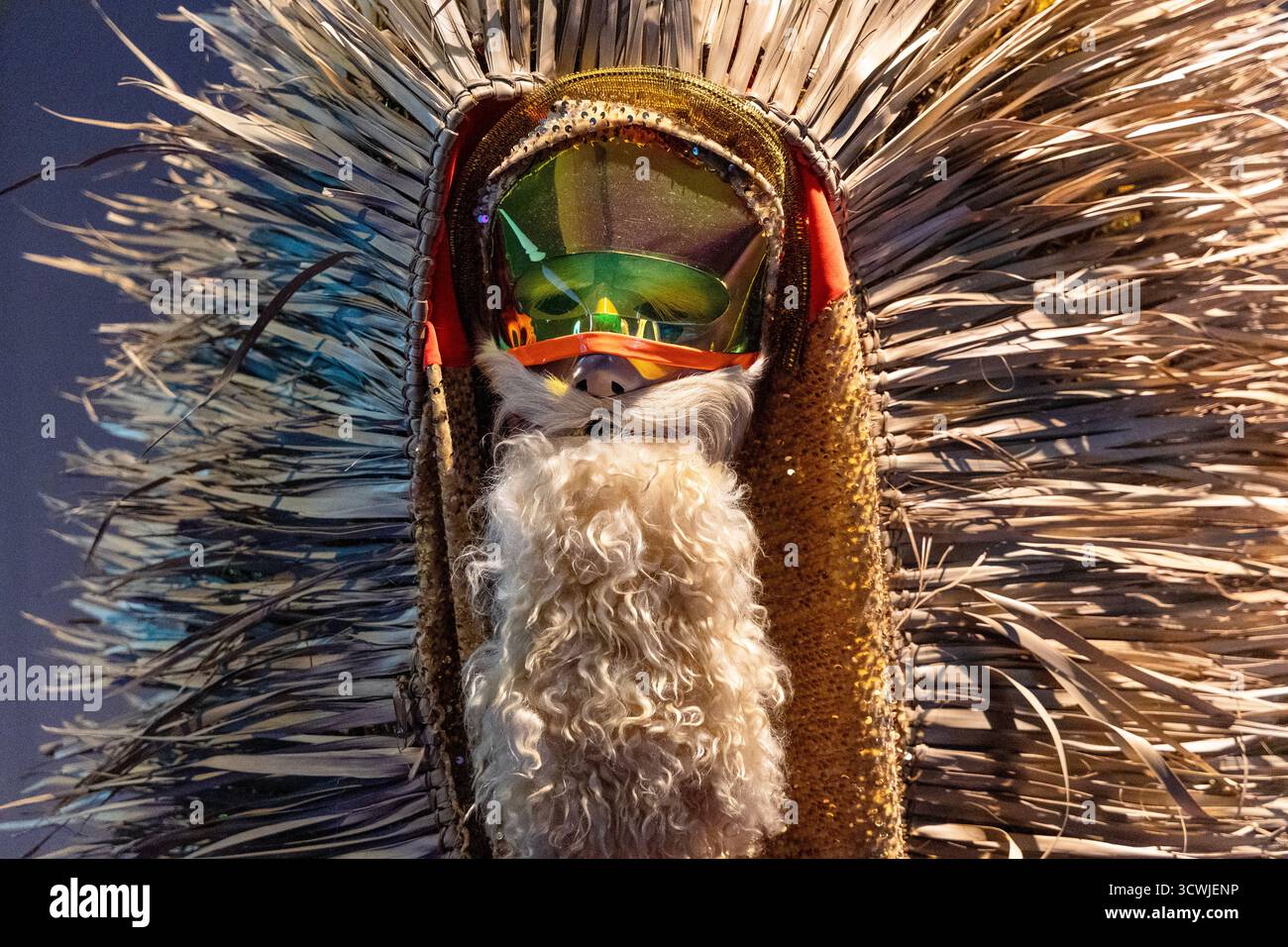 "Coyote" di Federico Cuatlacuatl, "Hypercreatures – Future Mythologies" Exhibition (2025), Max Ernst Museum, Brühl, Germania Foto Stock
