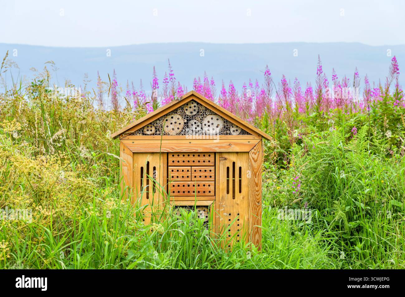 Un grande hotel di insetti accanto al Firth of Clyde sul sentiero costiero di Inverclyde tra Inverkip e Lunderston Bay, Renfrewshire, Scozia, Regno Unito Foto Stock