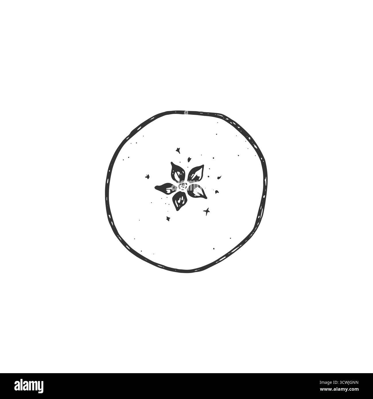 Schizzo grafico della fetta di mela essiccata. Illustrazione vettoriale disegnata a mano con inchiostro. Illustrazione Vettoriale