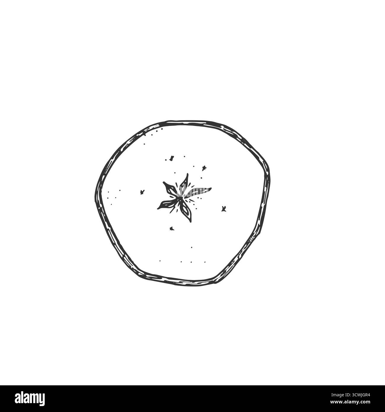 Schizzo grafico della fetta di mela essiccata. Illustrazione vettoriale disegnata a mano con inchiostro. Illustrazione Vettoriale