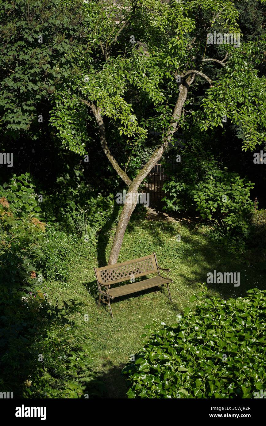 Piccolo giardino romantico con una panchina e un albero di pera nel fossato del castello di Norimberga in Germania, visto da una vista a volo d'uccello Foto Stock