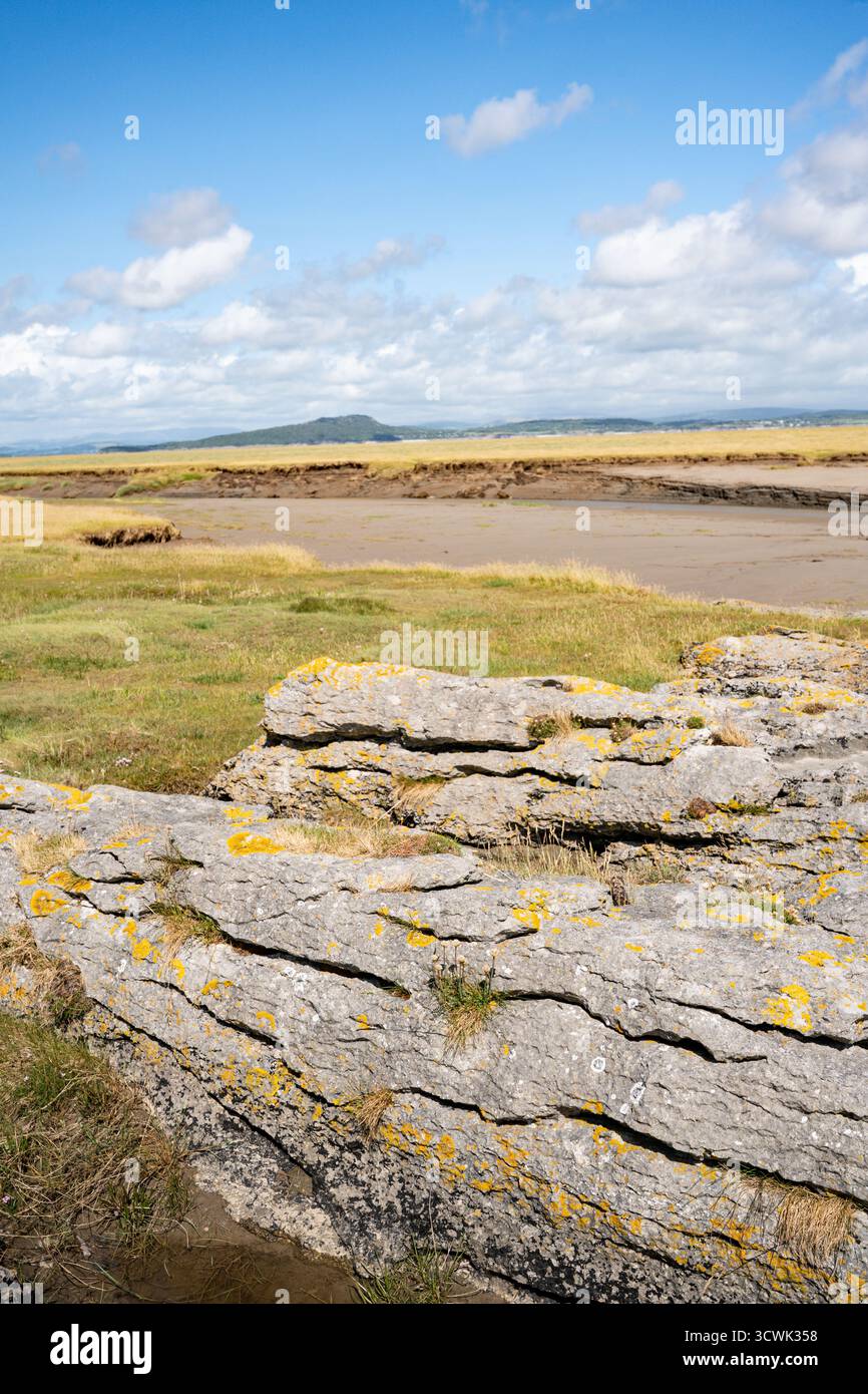Rocce calcaree con licheni che si affacciano sul paesaggio costiero della baia di Morecambe Foto Stock