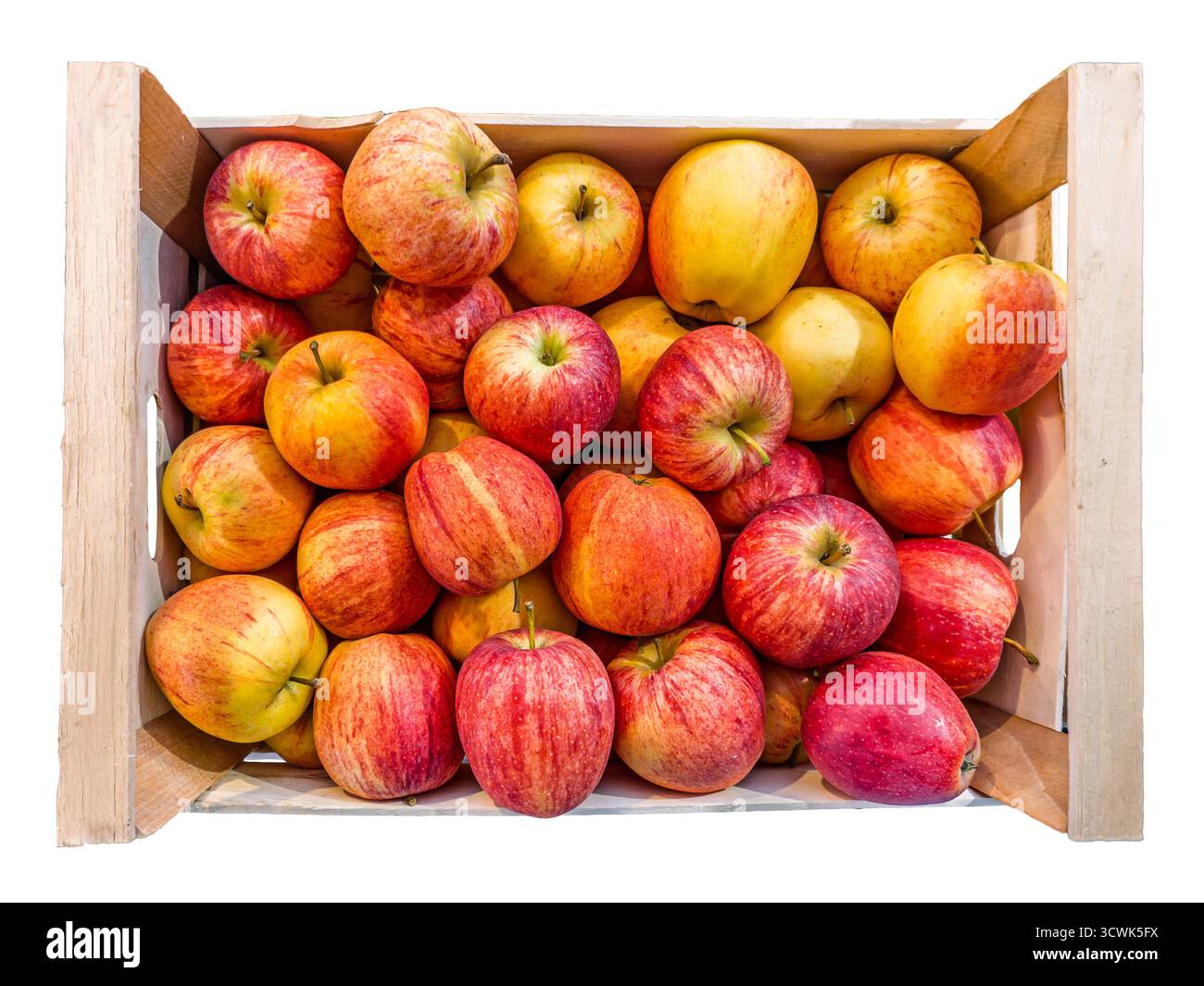 Mele di gala disposte in una cassa di legno isolata sul bianco nella vista dall'alto con percorso di ritaglio incluso. La varietà di mele è stata sviluppata in nuova Zelanda Foto Stock