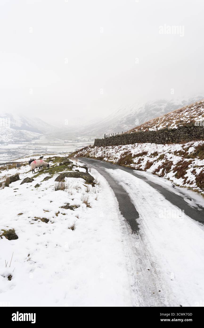 Strada di montagna innevata con pecore nel paesaggio invernale del Lake District Foto Stock