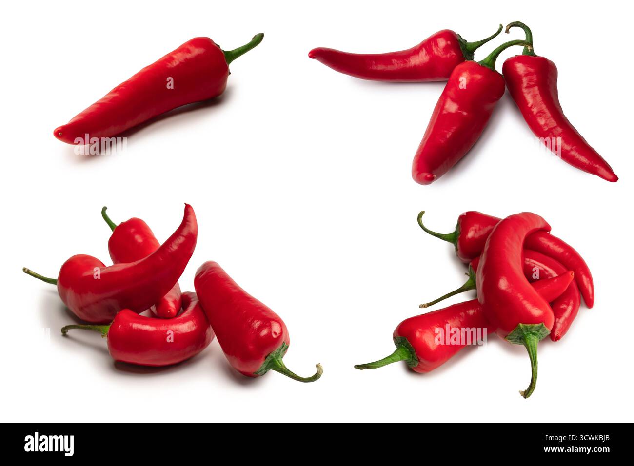 Red hot chili pepper isolato su uno sfondo bianco. Foto Stock