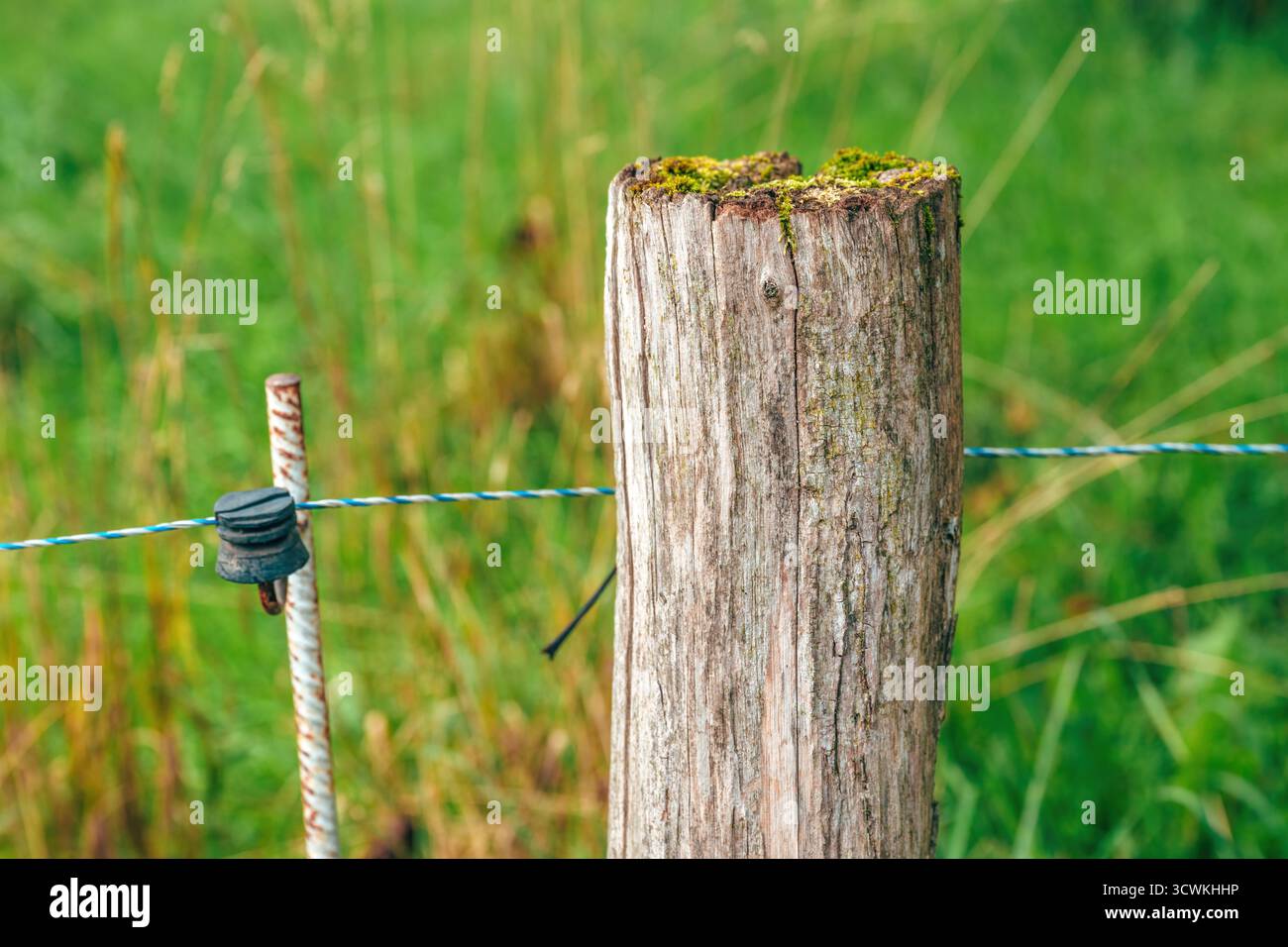 Barriera di legno rivestita in campagna. Messa a fuoco selettiva. Foto Stock
