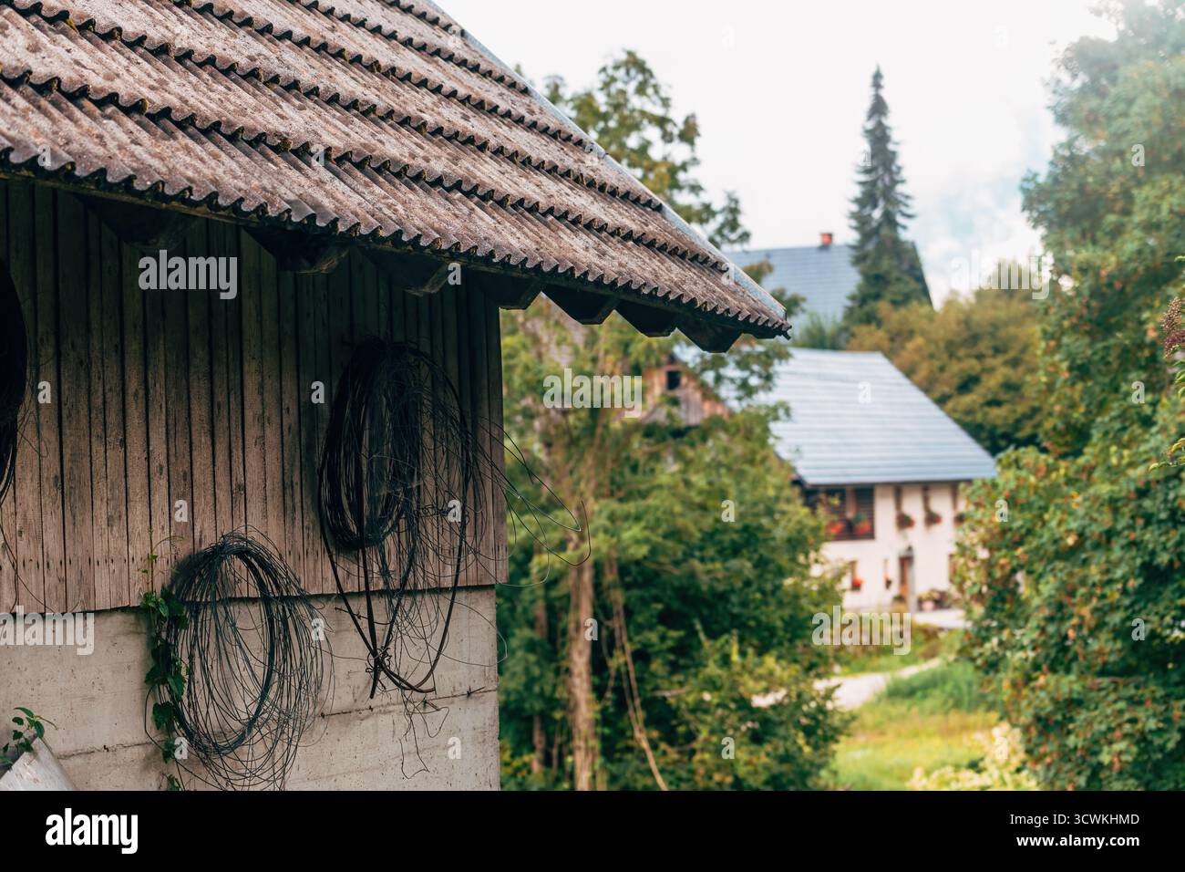 Casa colonica rurale tradizionale nella campagna slovena circondata da natura e campi. Messa a fuoco selettiva. Foto Stock