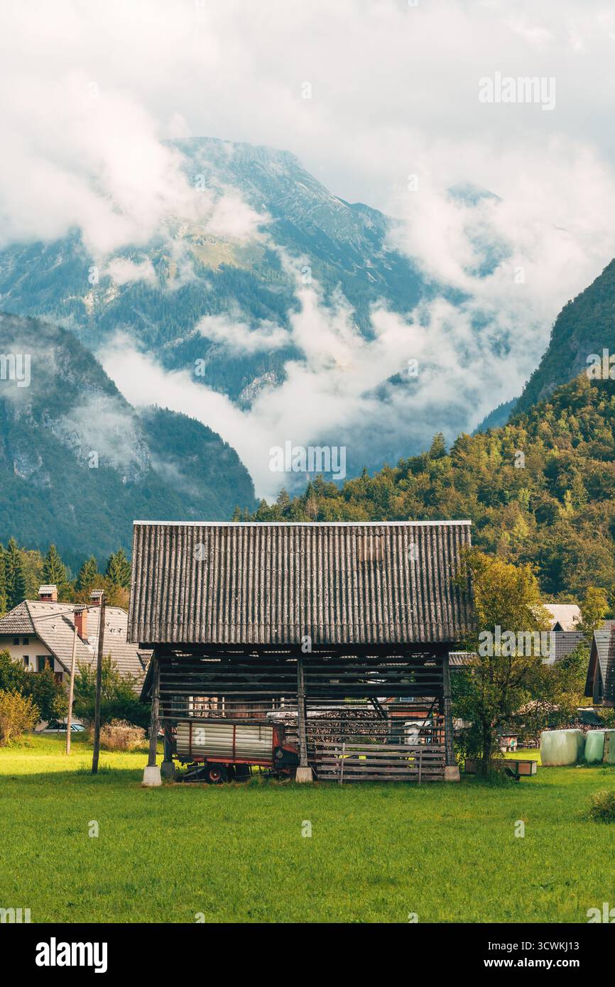 Vecchio capannone in legno consumato nella valle di Bohinj, in Slovenia, circondato dal paesaggio rurale alpino delle Alpi Giulie. Messa a fuoco selettiva. Foto Stock