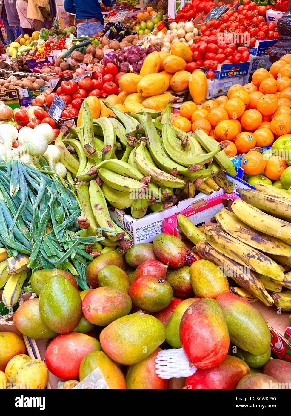 Vivace esposizione di frutta e verdura assortite presso una banchina del mercato, tra cui banane, mango, arance e pomodori delle Canarie di Tenerife Foto Stock