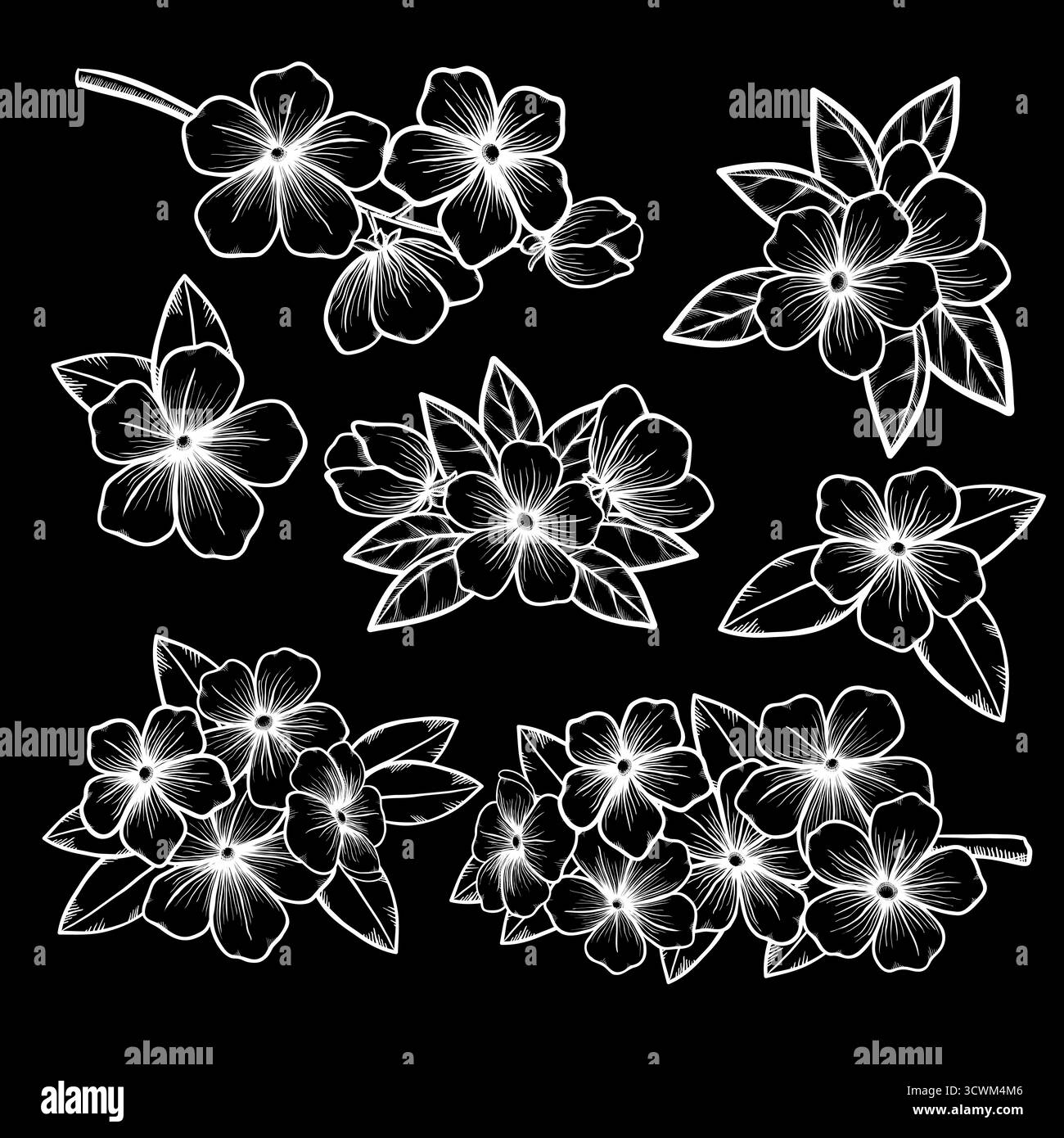 splendida collezione floreale monocromatica in bianco e nero con foglie e fiori Illustrazione Vettoriale