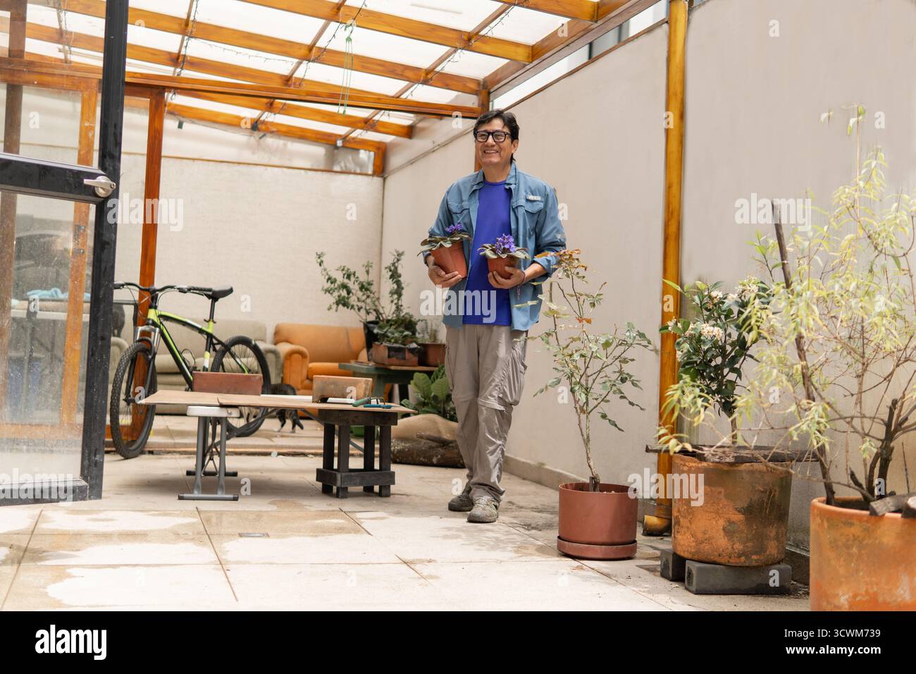 Uomo sorridente, con violette africane in vaso, giardinaggio in serra domestica Foto Stock