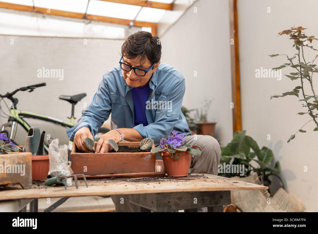Uomo che si concentra sulla piantagione di piantine in un piccolo vaso al chiuso Foto Stock