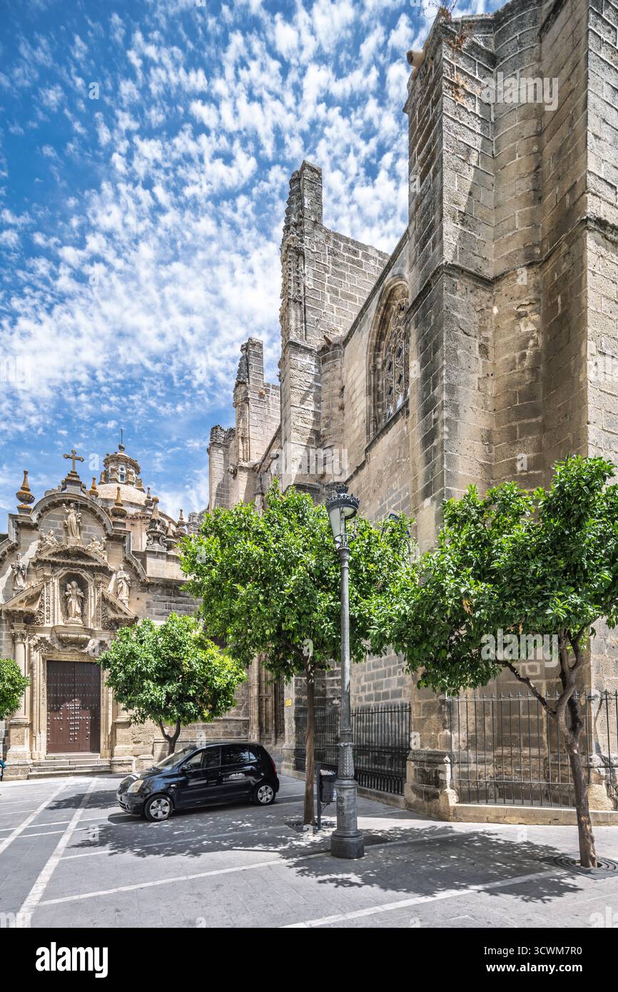 La chiesa di San Miguel a Jerez de la Frontera mostra splendidi dettagli gotici con iconografia scolpita in una strada verdeggiante contro un cielo vibrante. Foto Stock