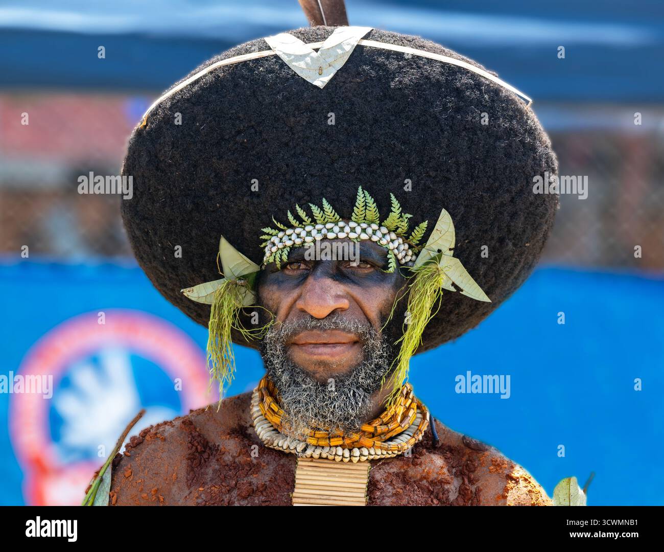 Ritratto di una ballerina tribale della provincia di Enga al Goroka Sing Festival 2025, Eastern Highlands, Papua nuova Guinea, PNG Foto Stock
