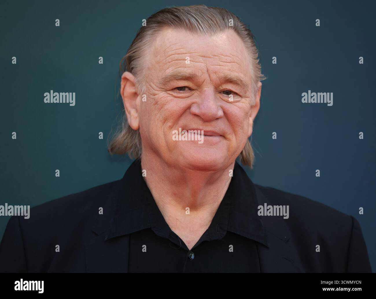 Brendan Gleeson alla prima inglese di H is for Hawk al 69° BFI London Film Festival alla Royal Festival Hall. Foto Stock