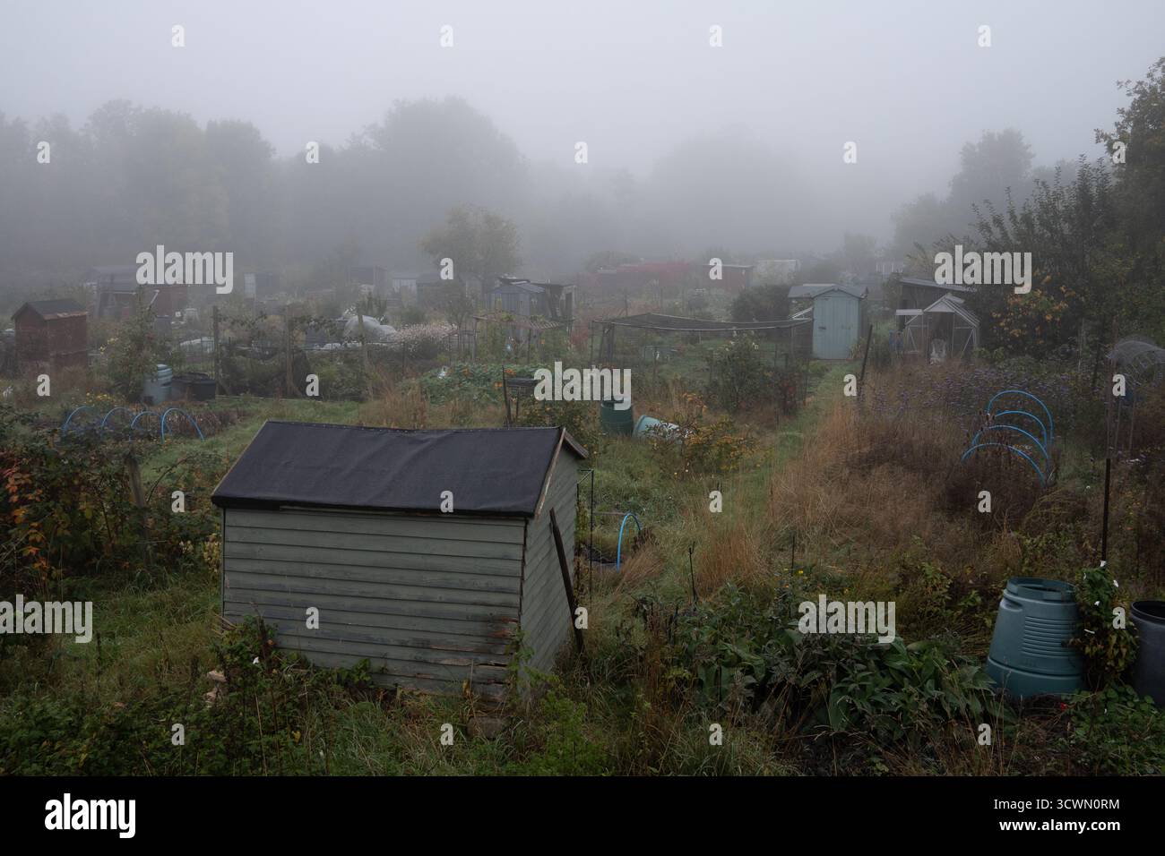 Giardini di proprietà nella nebbia autunnale, Warwick, Warwickshire, Inghilterra, Regno Unito Foto Stock