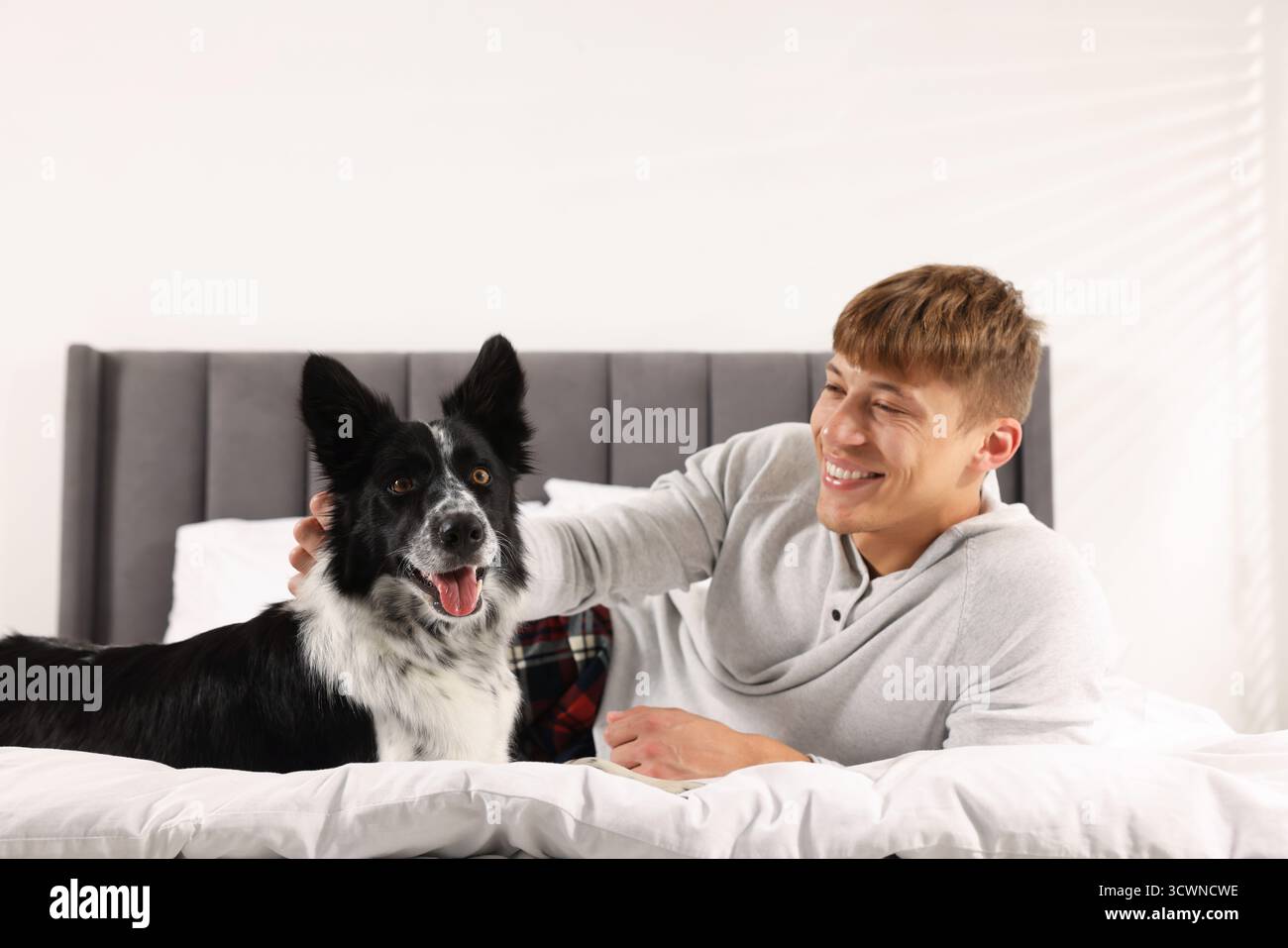 Hotel in cui sono ammessi gli animali domestici. L'uomo e il suo carino cane a letto al chiuso Foto Stock