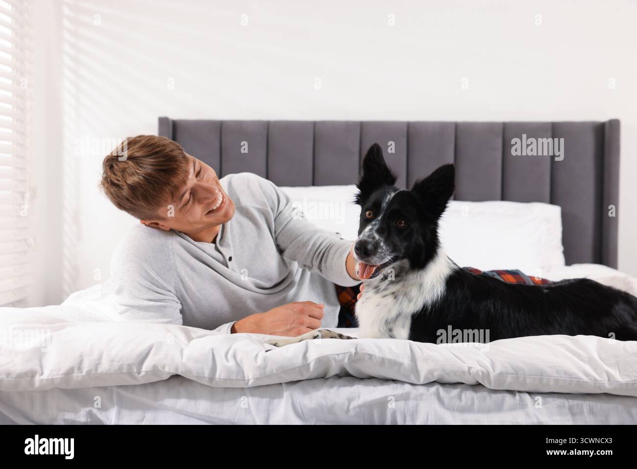 Hotel in cui sono ammessi gli animali domestici. L'uomo e il suo carino cane a letto al chiuso Foto Stock