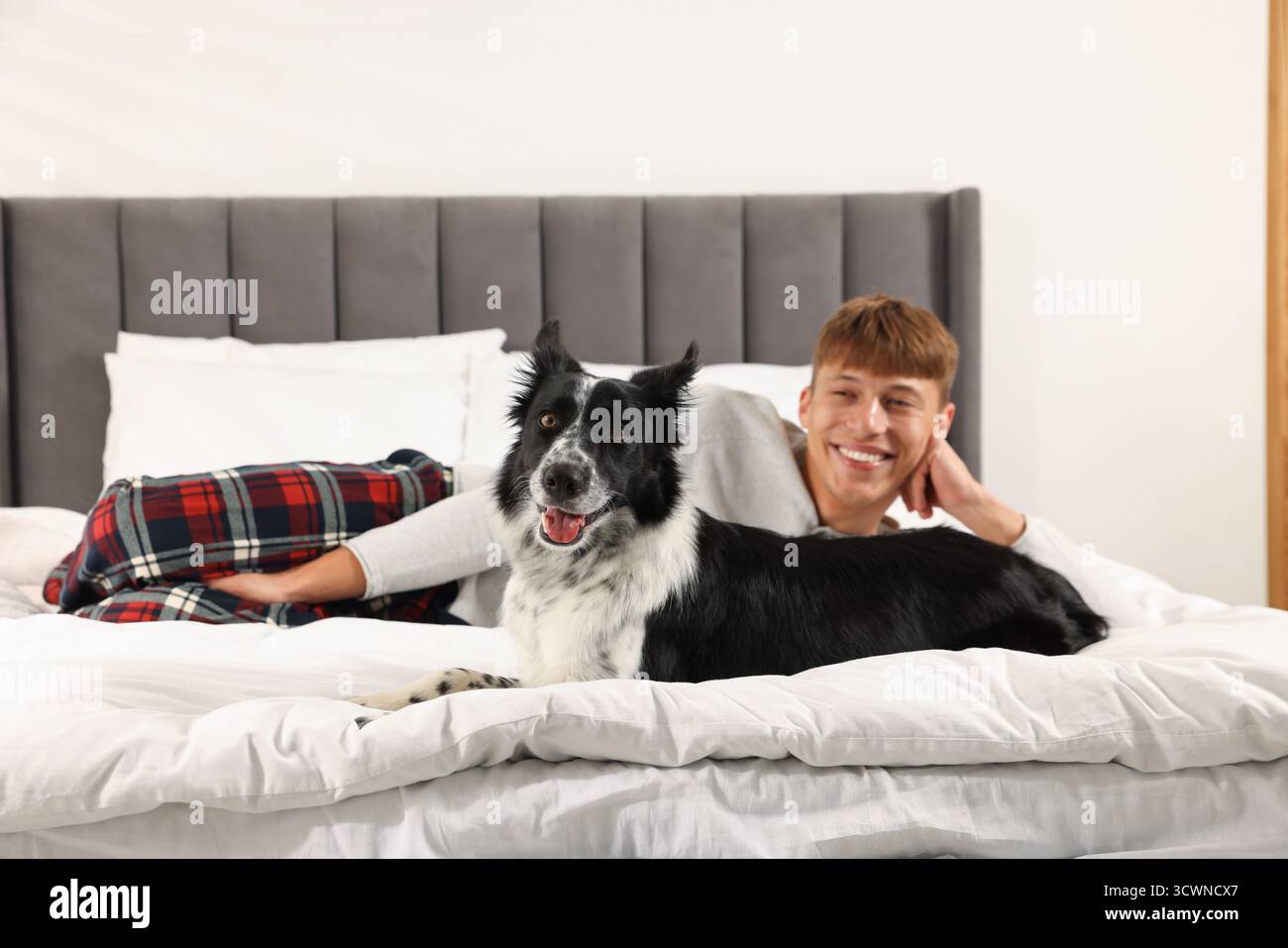 Hotel in cui sono ammessi gli animali domestici. L'uomo e il suo carino cane a letto al chiuso Foto Stock