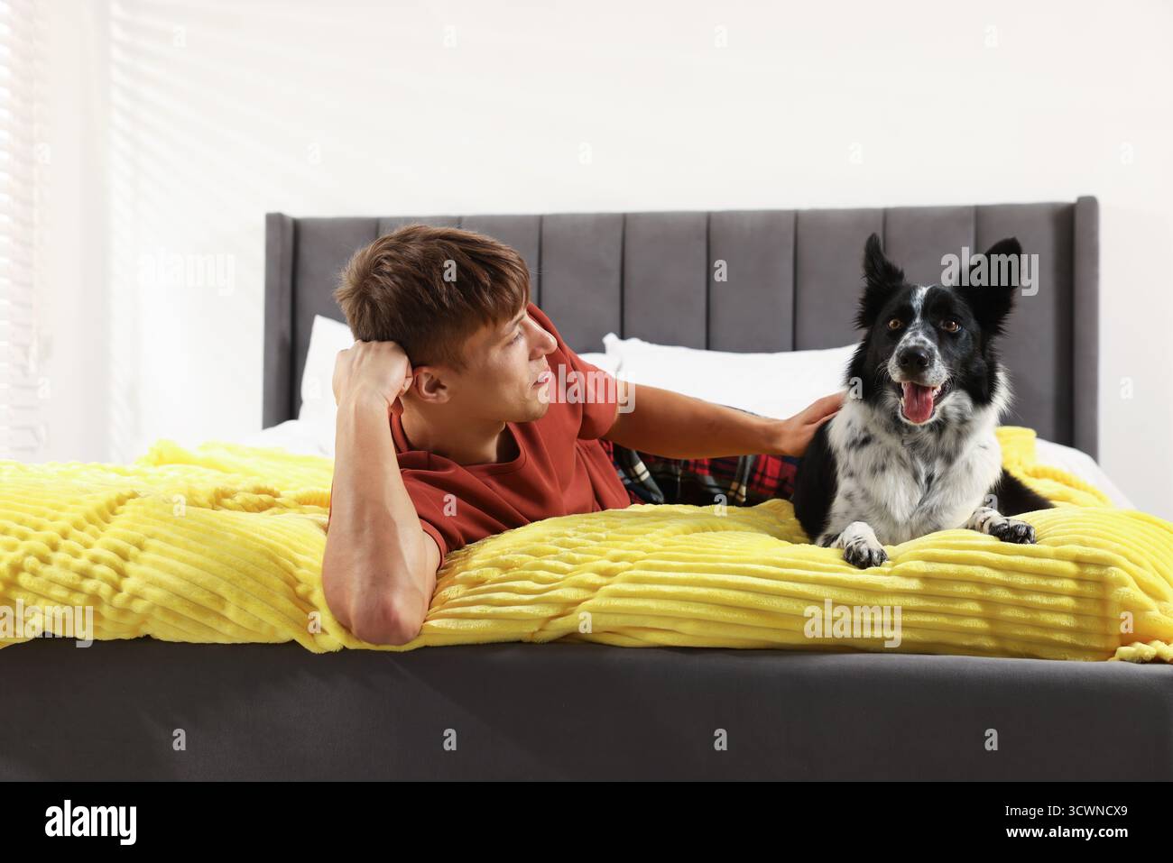 Hotel in cui sono ammessi gli animali domestici. L'uomo e il suo carino cane a letto al chiuso Foto Stock